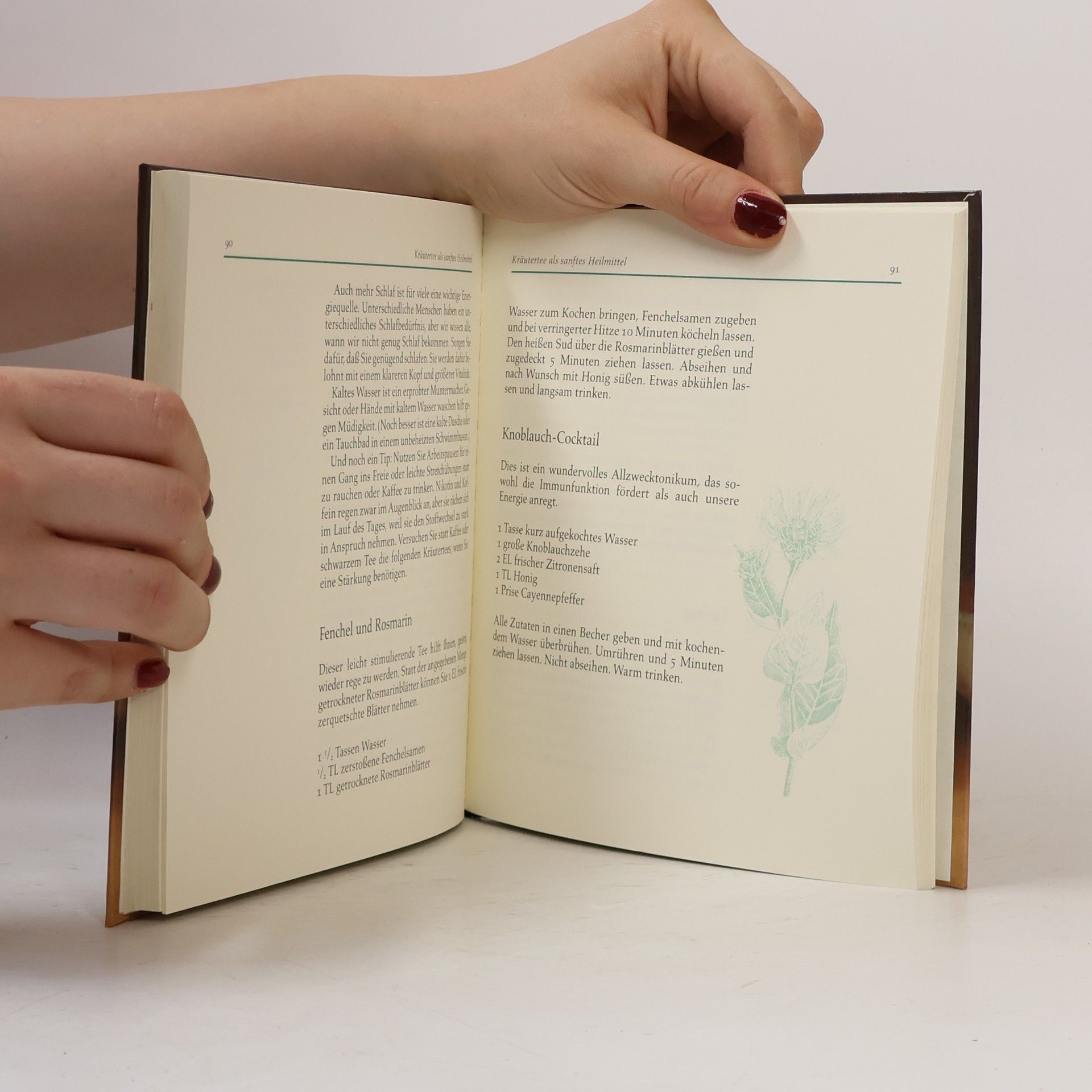 Mindy Toomay Das schöne Buch vom Kräutertee