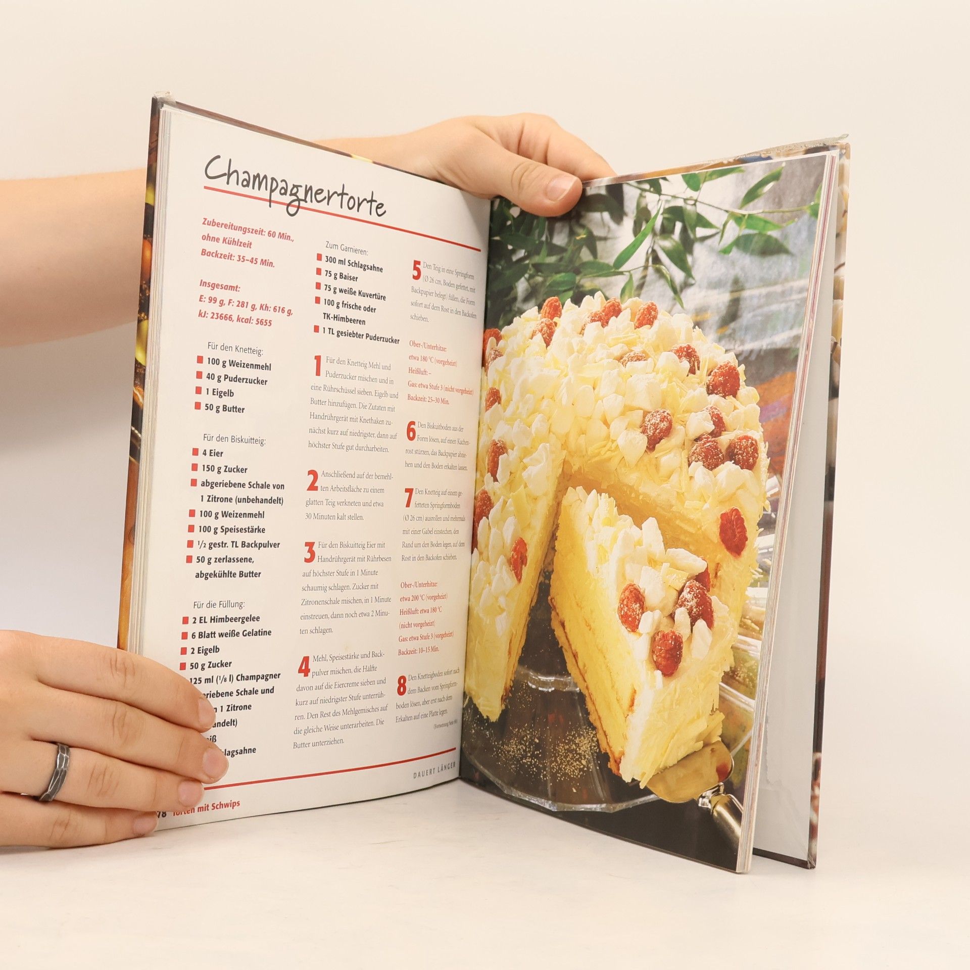 Eva-Maria Dammeier Dr. Oetker Mode-Torten