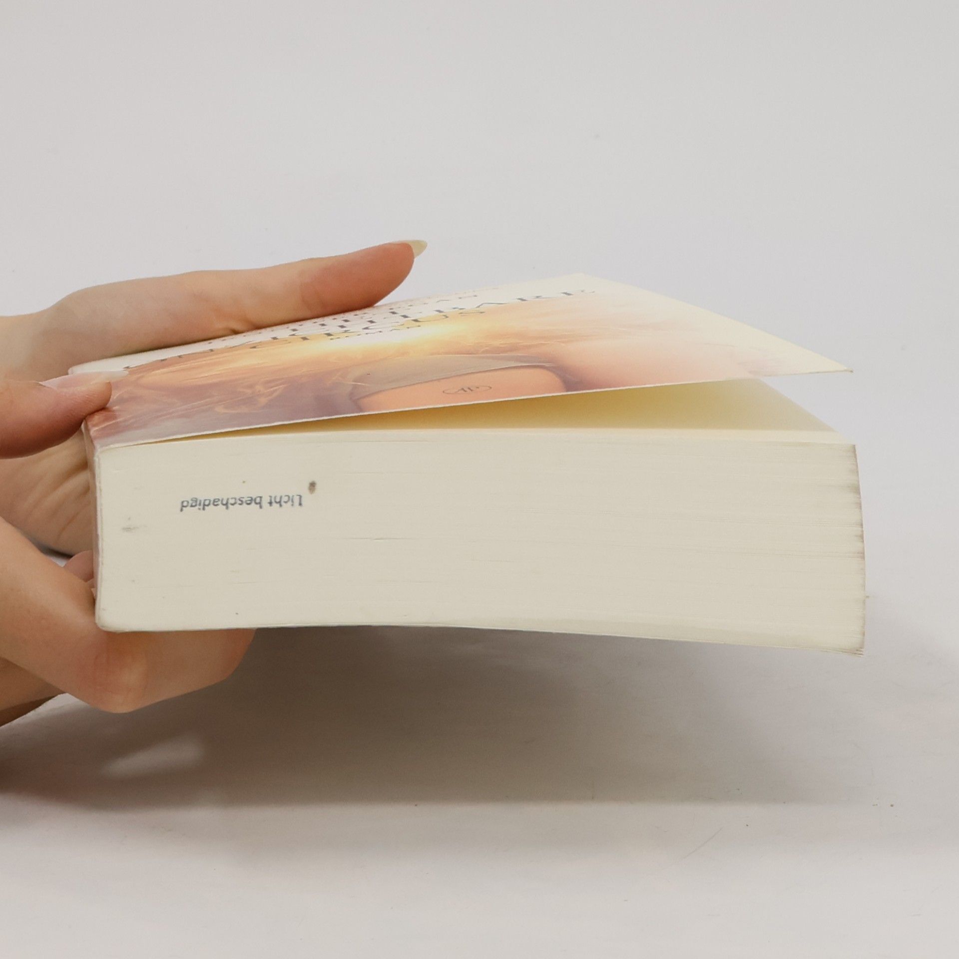 Jennifer Egan Het onzichtbare circus