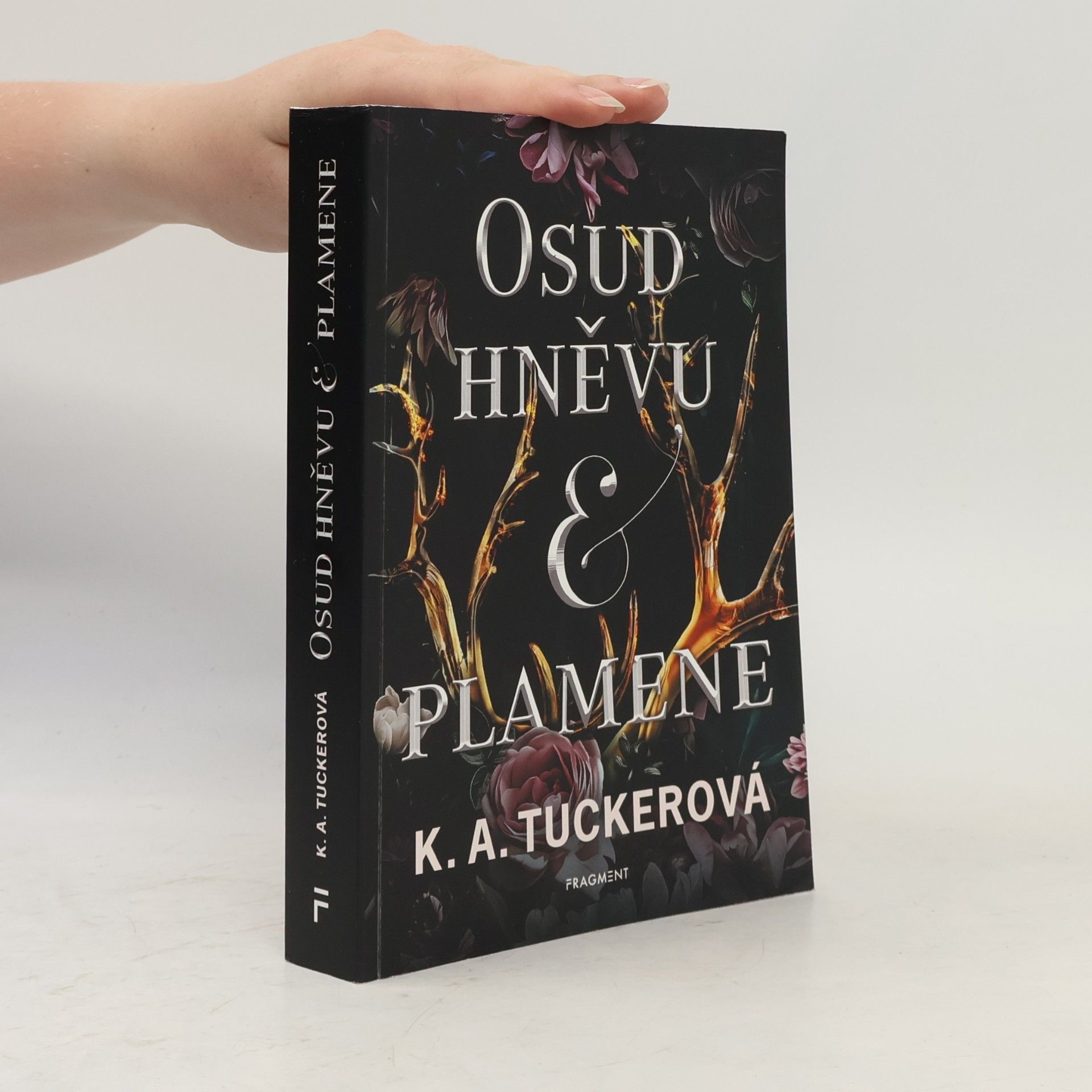 K.A. Tucker Osud hněvu & plamene