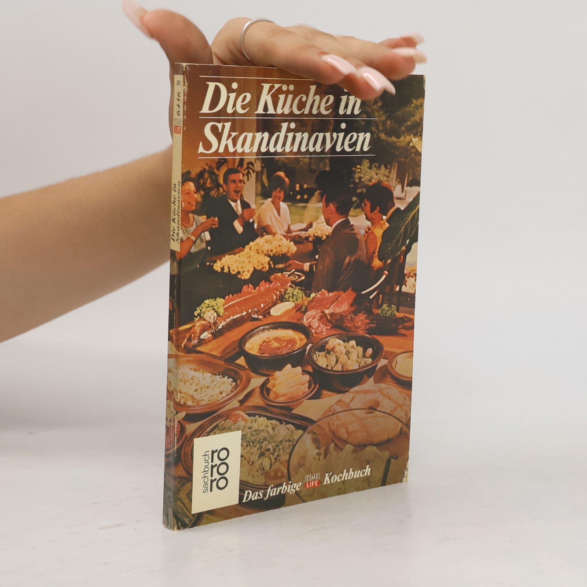 Die Küche in Skandinavien
