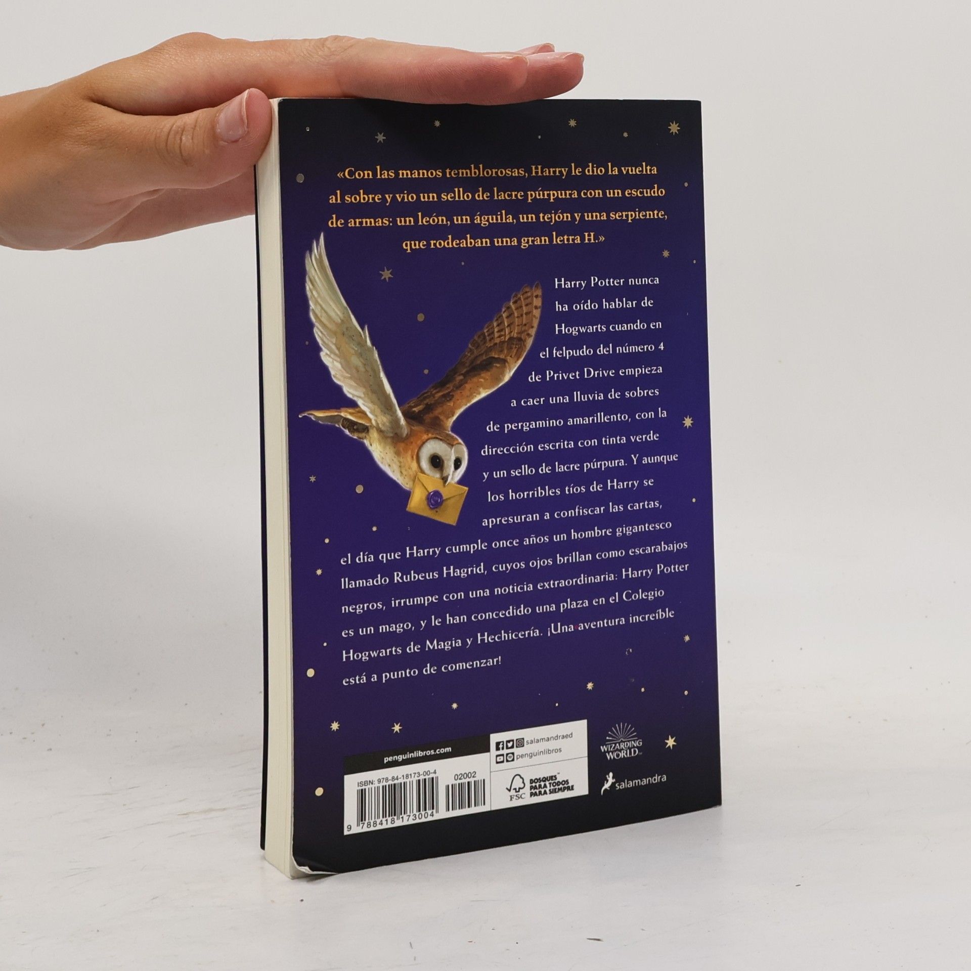 J. K. Rowling Harry Potter y la piedra filosofal
