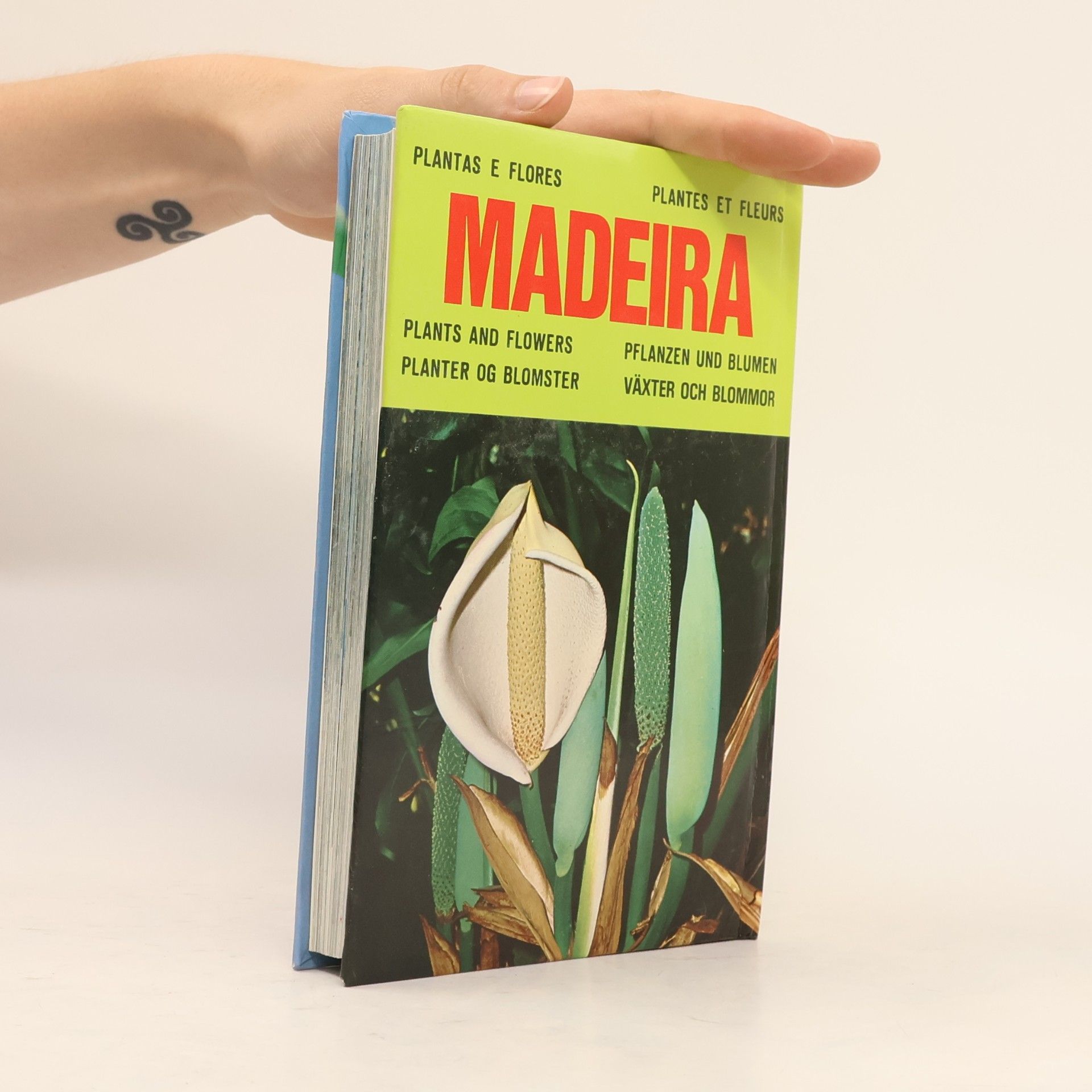 A. da Costa Madeira - Flowers/ Flores/ Fleurs/ Blumen/ Blomster/ Blommor