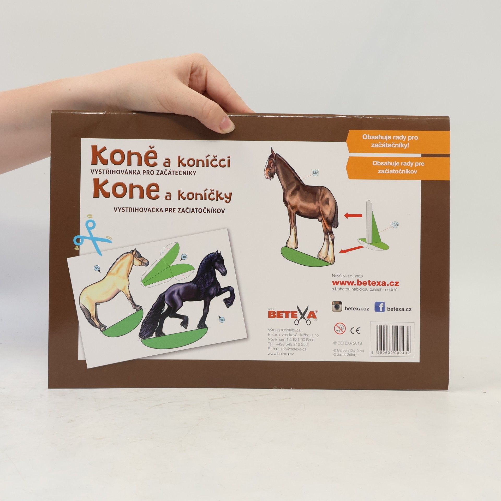 Kolektiv autorů Koně a koníčci