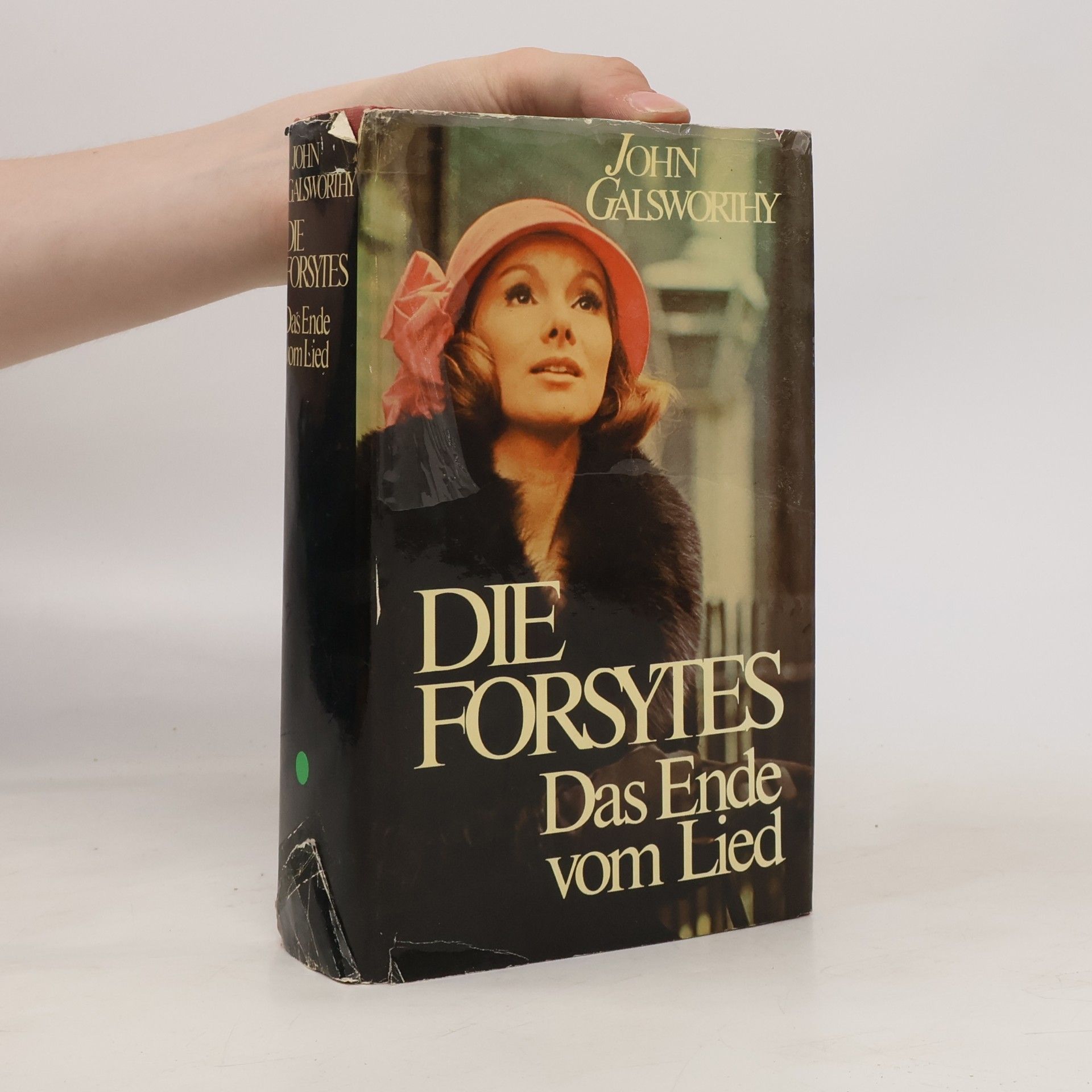 John Galsworthy Die Forsytes. Das Ende vom Lied