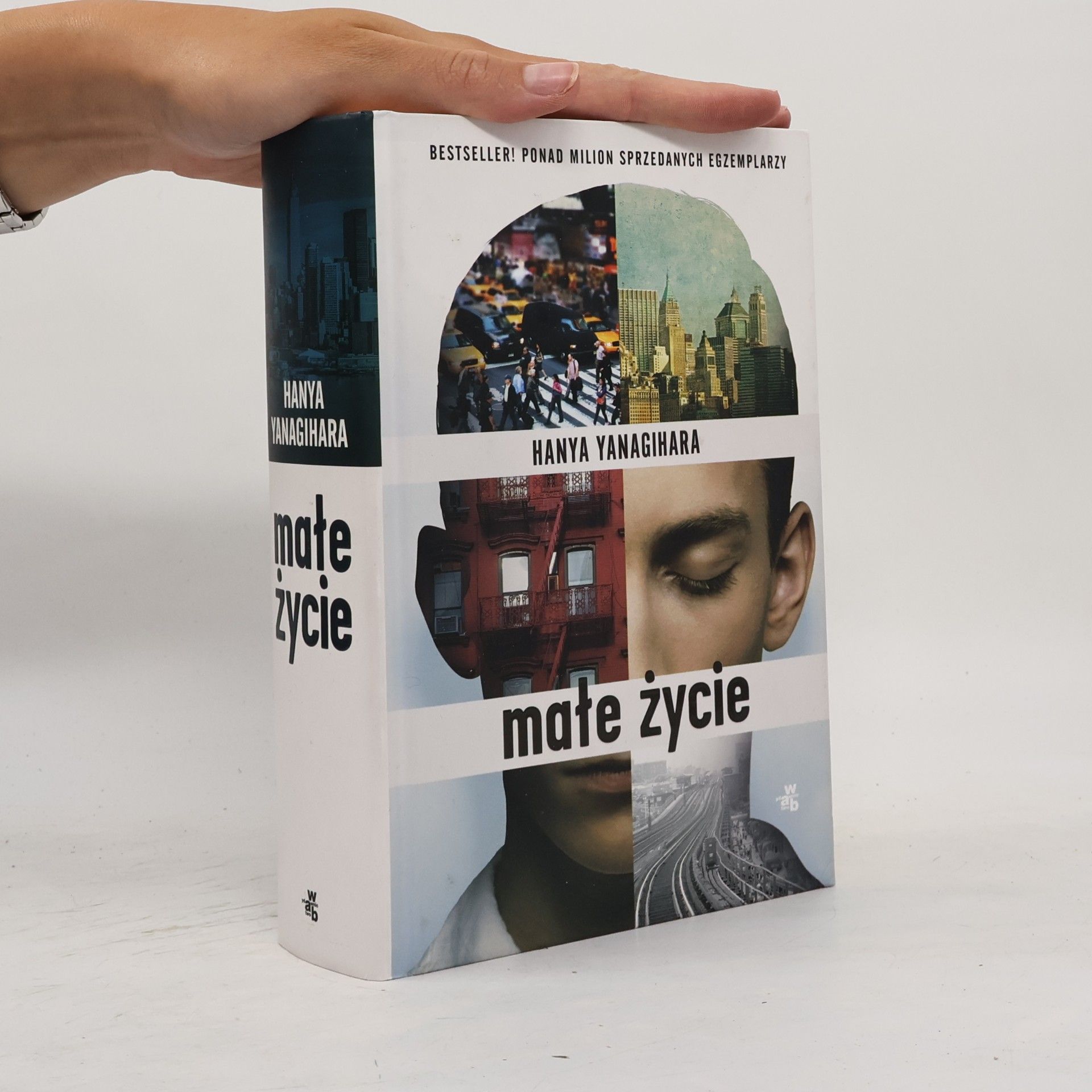 Hanya Yanagihara Małe życie
