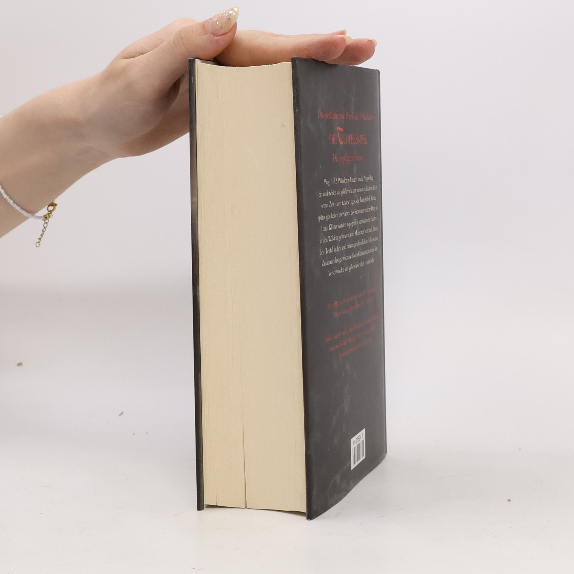 Richard Dübell Die Wächter der Teufels Bibel