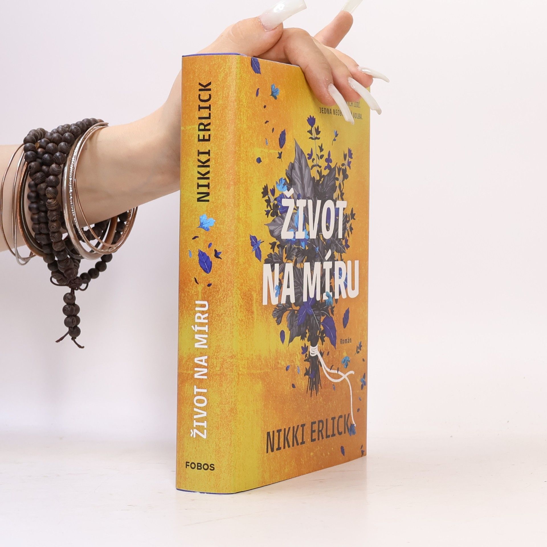 Nikki Erlick Život na míru