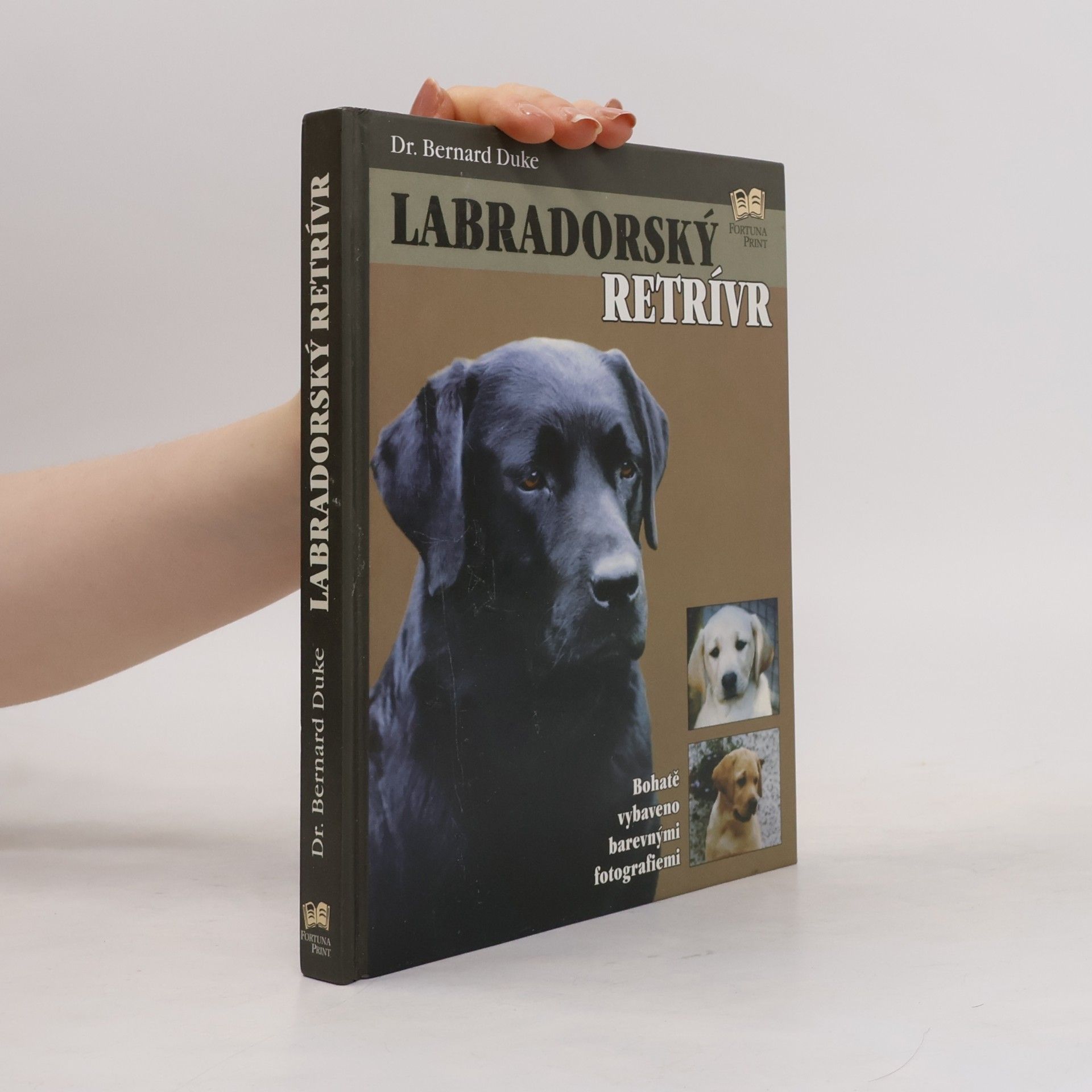 Bernard Duke Labradorský retrívr