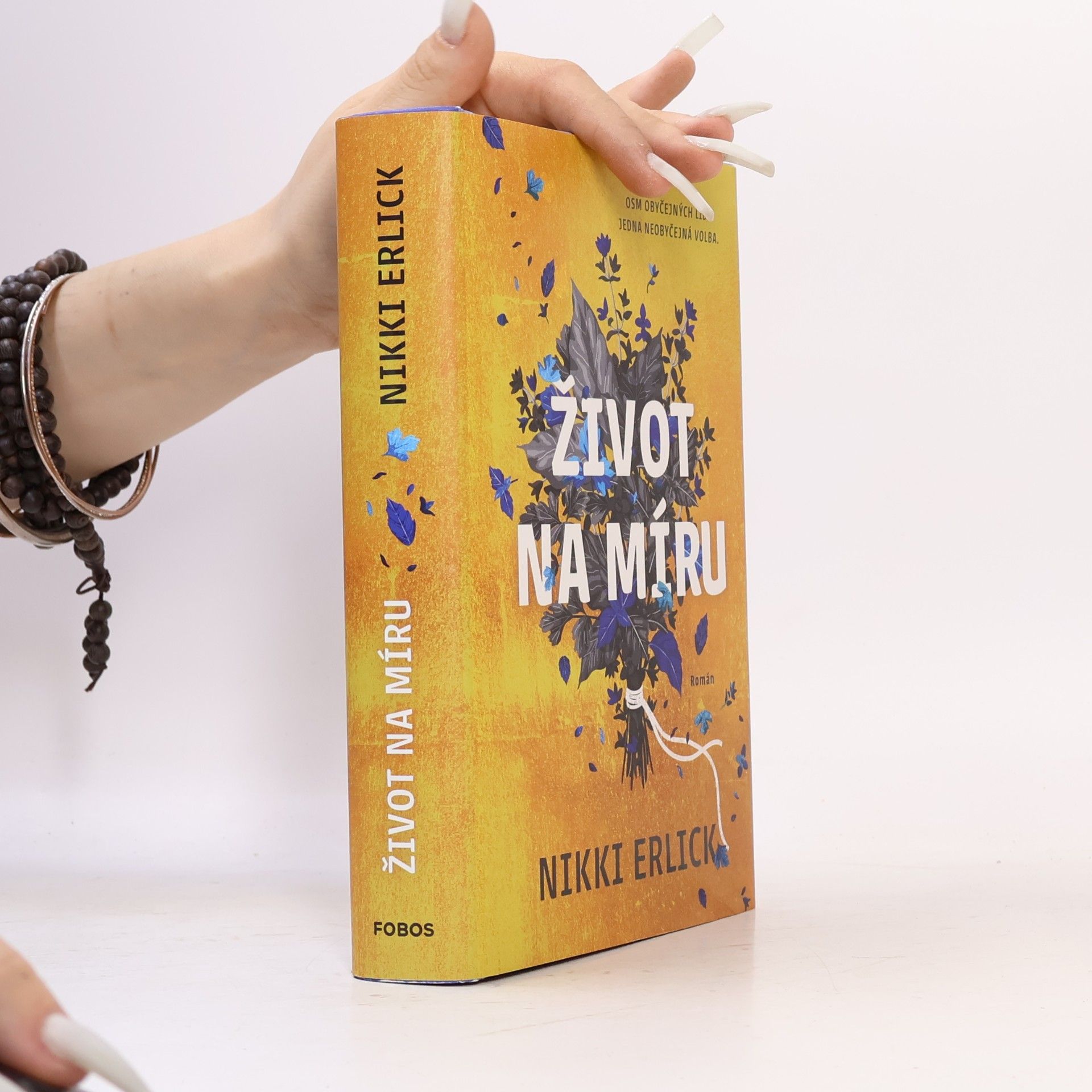 Nikki Erlick Život na míru