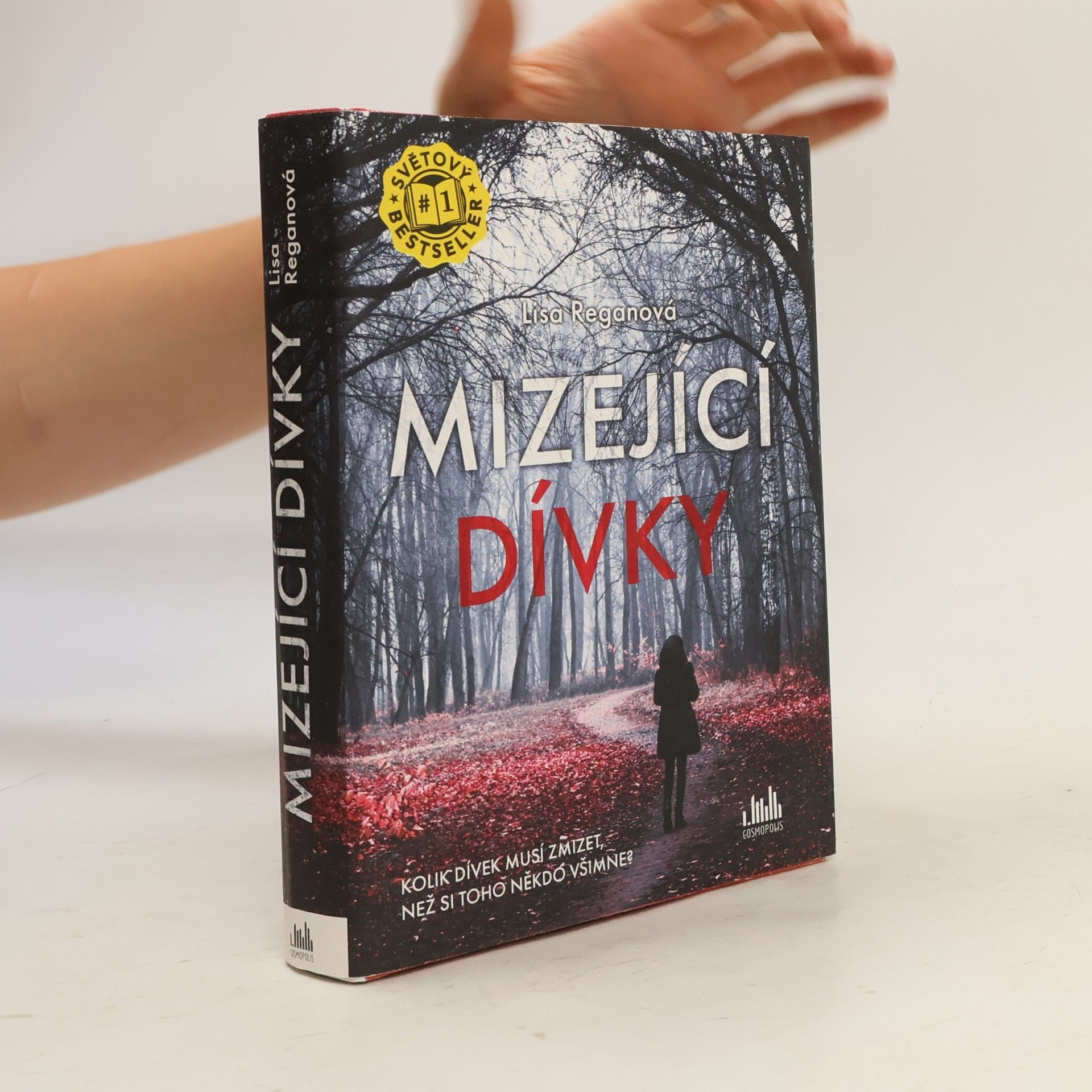 Lisa Regan Mizející dívky
