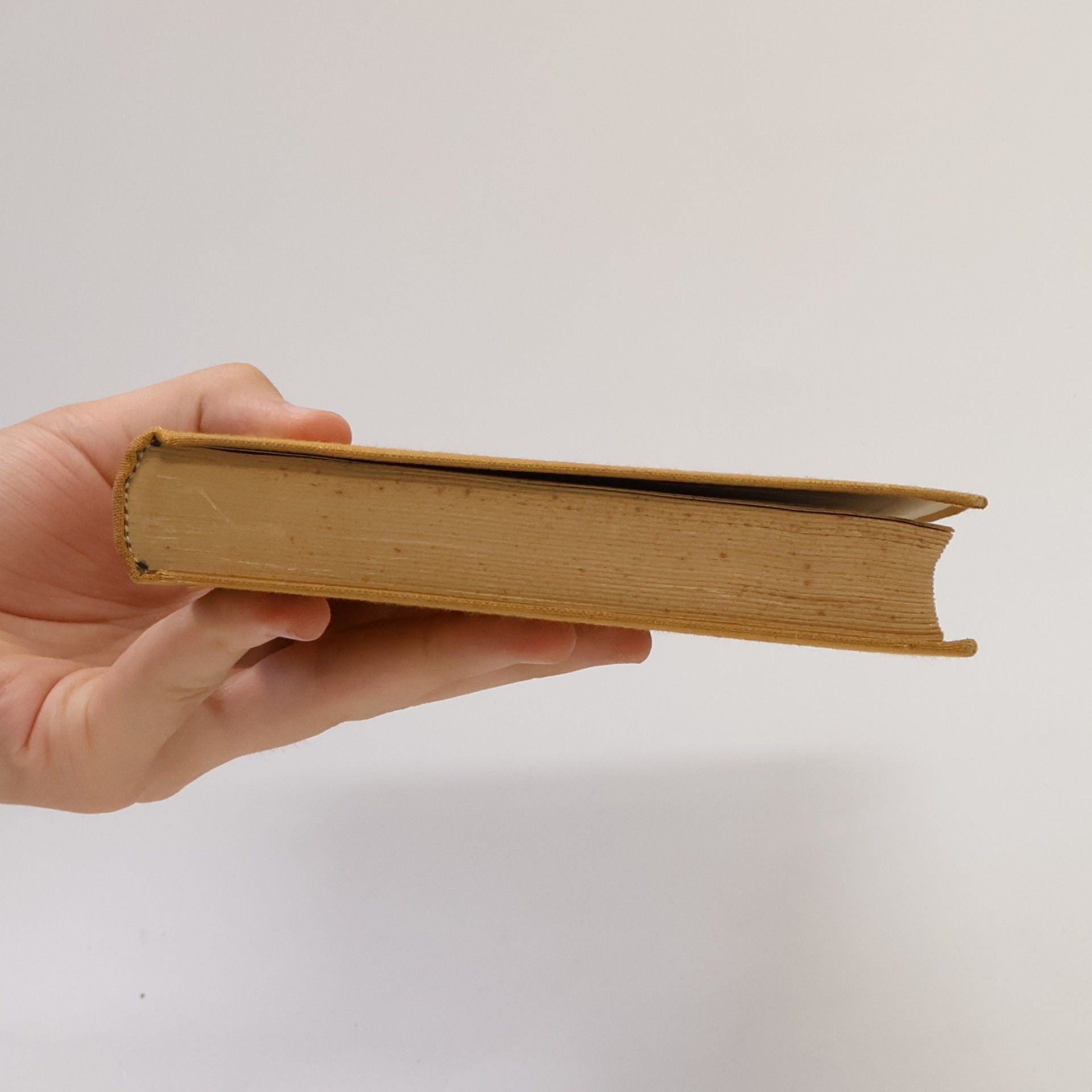 Matthias von Lexer Matthias Lexers Mittelhochdeutsches Taschenwörterbuch