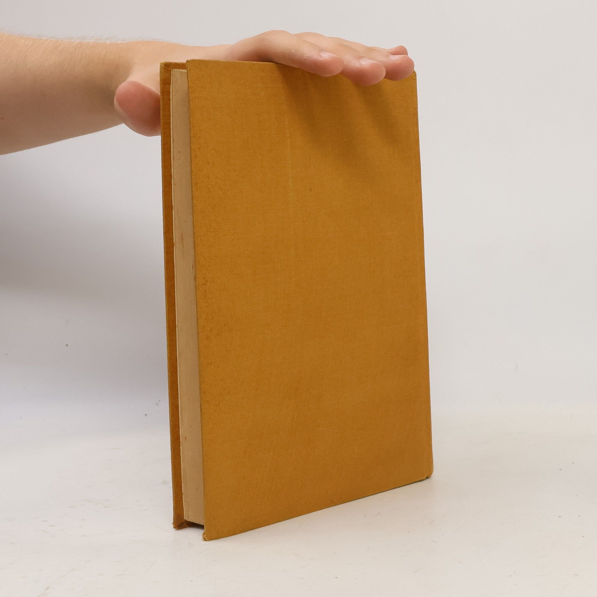 Matthias von Lexer Matthias Lexers Mittelhochdeutsches Taschenwörterbuch