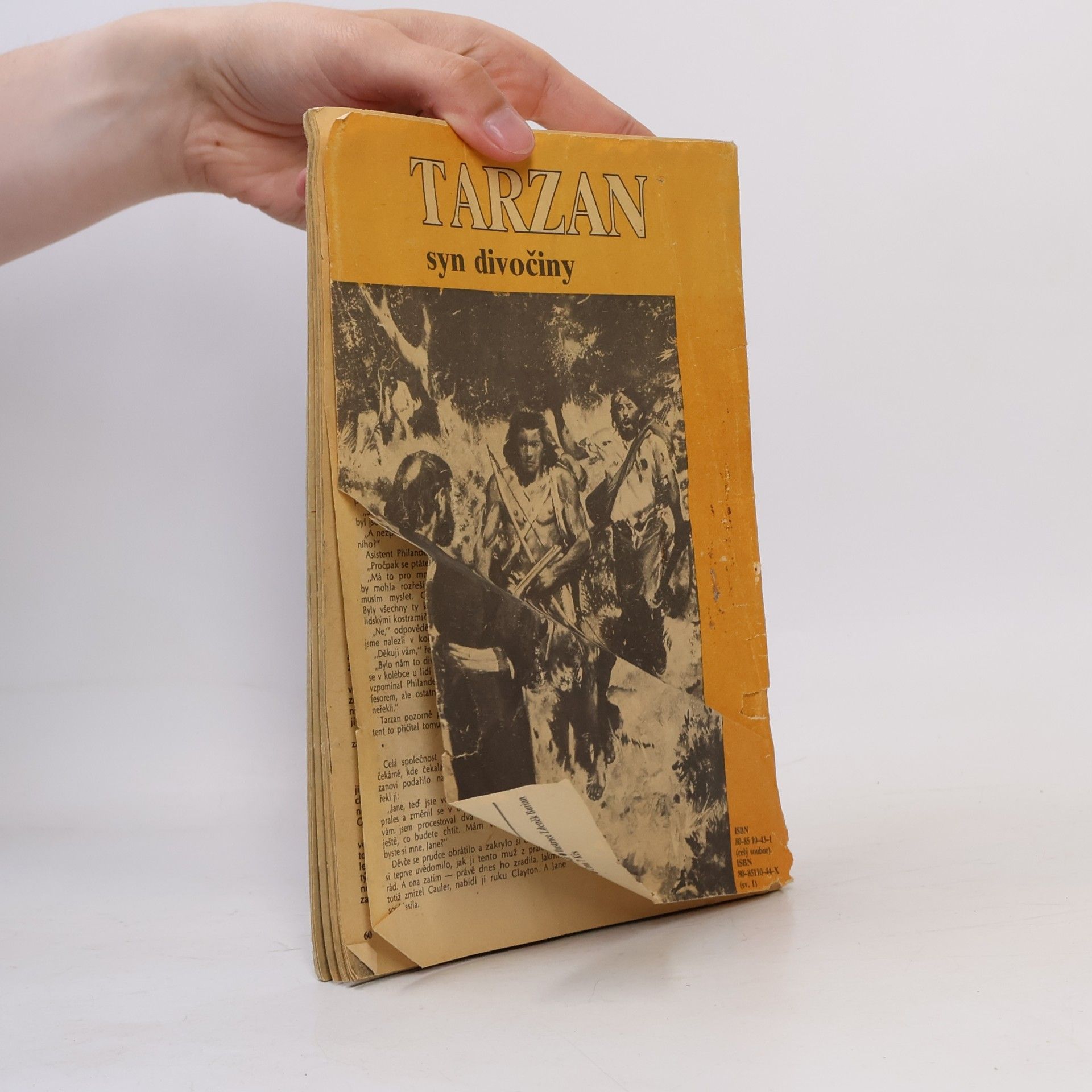 Edgar Rice Burrroughs Tarzan syn divočiny