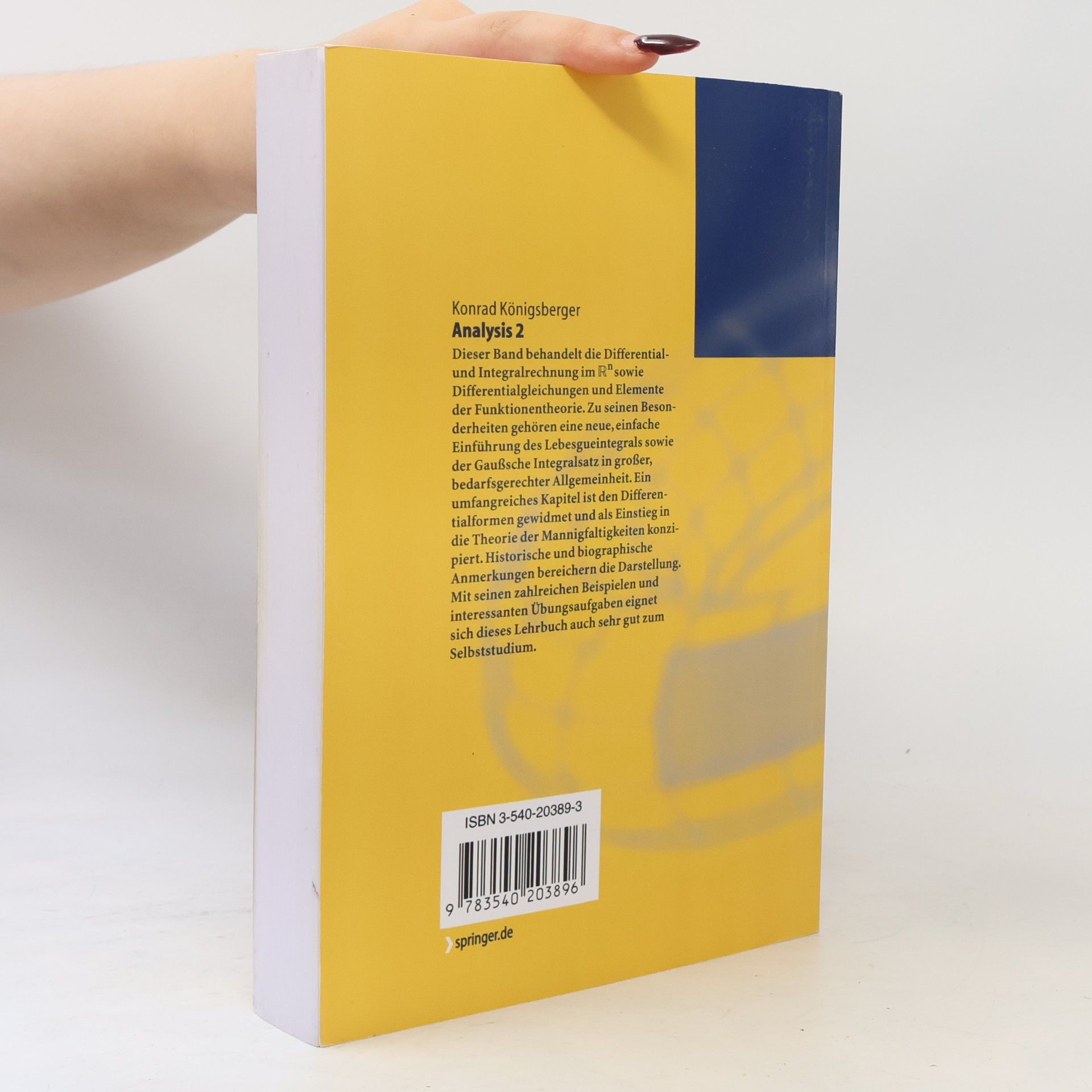 Konrad Königsberger Springer-Lehrbuch: Analysis 2 - 5., korrigierte Auflage