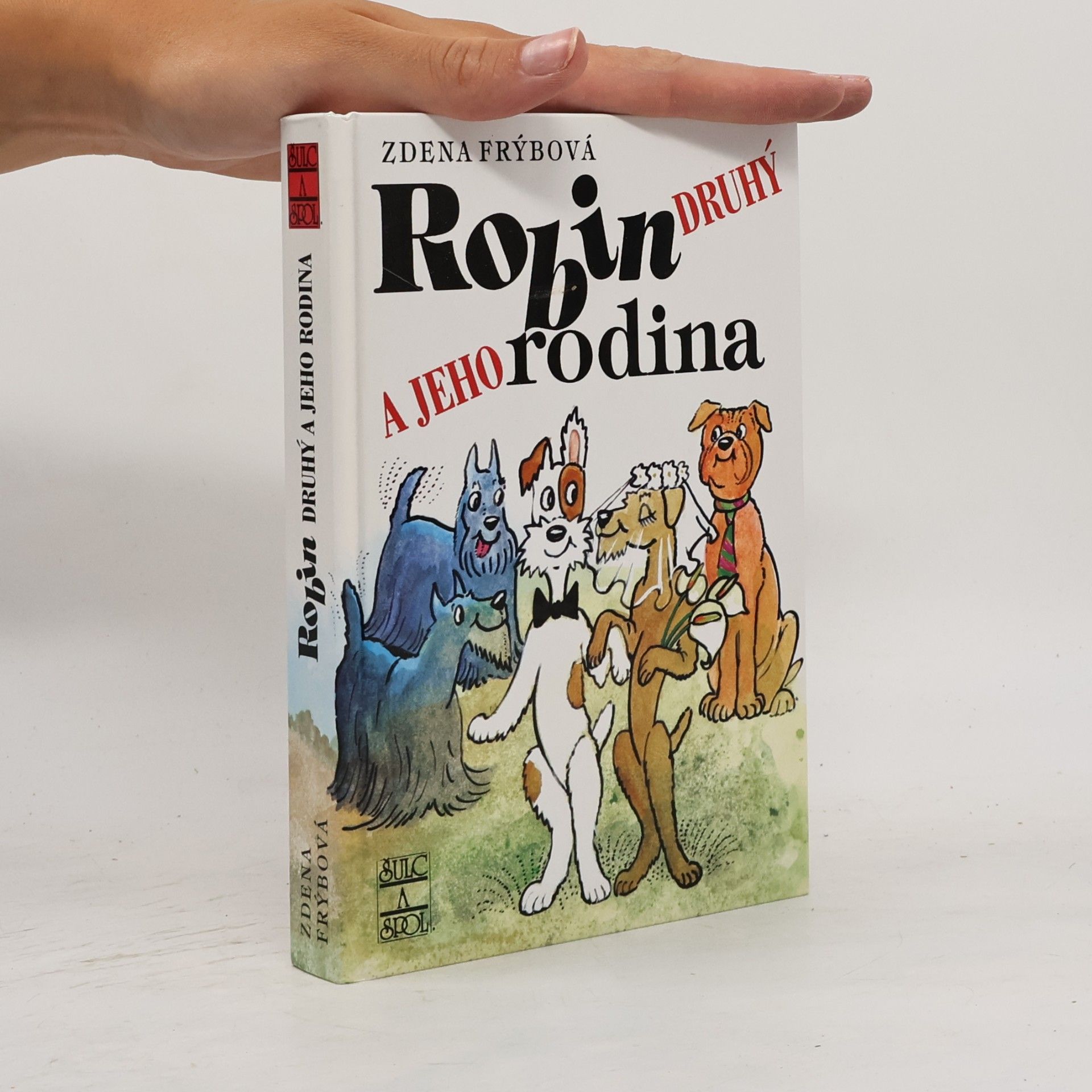 Zdena Frýbová Robin Druhý a jeho rodina