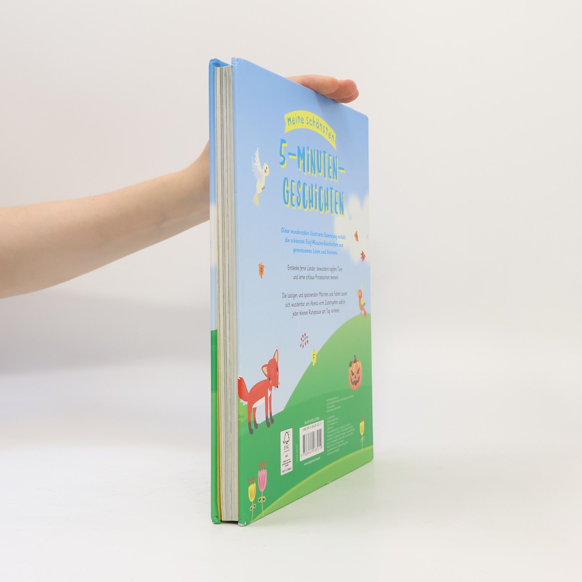 Autorenkollektiv Meine schönsten 5-Minuten-Geschichten