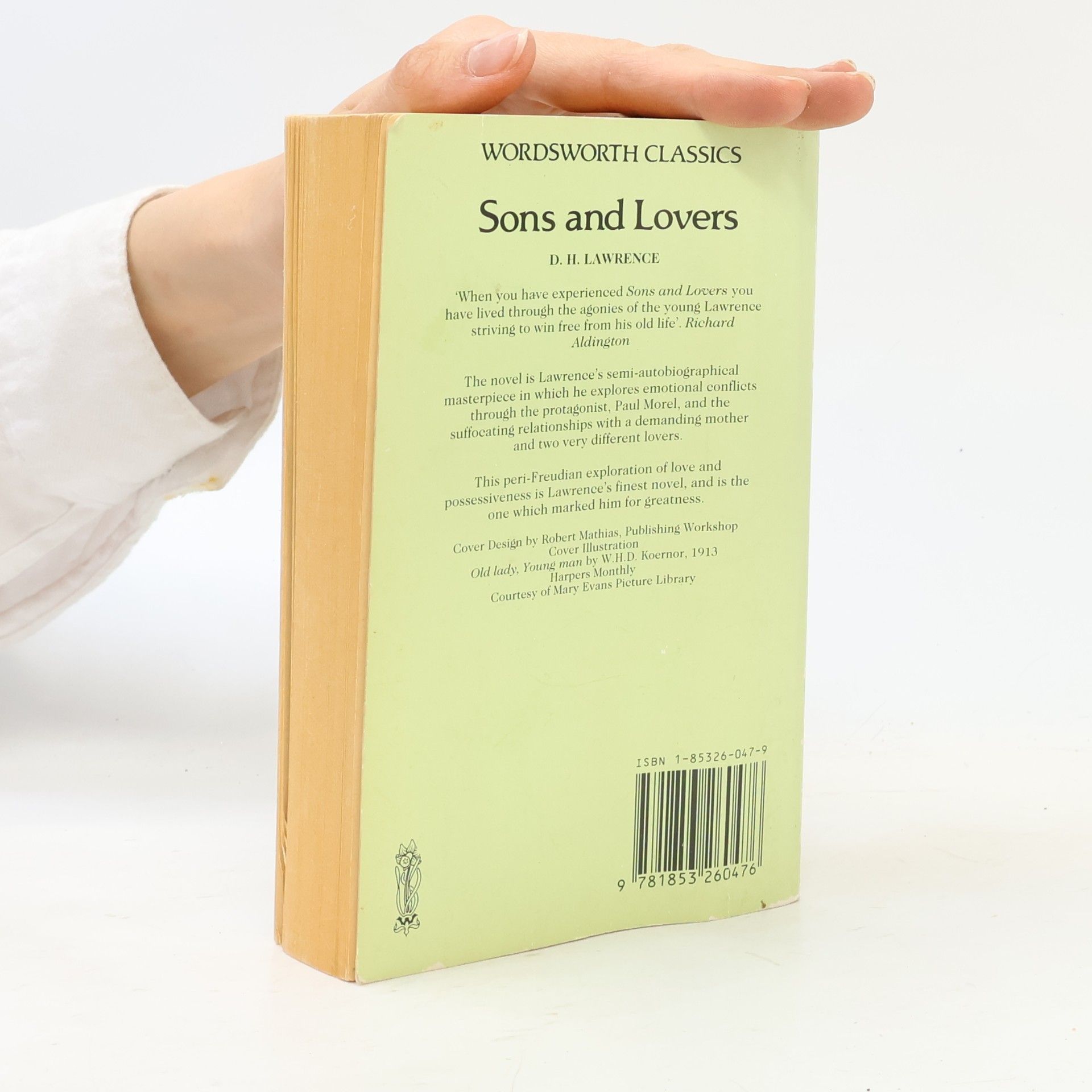 David Herbert Lawrence Sons and lovers