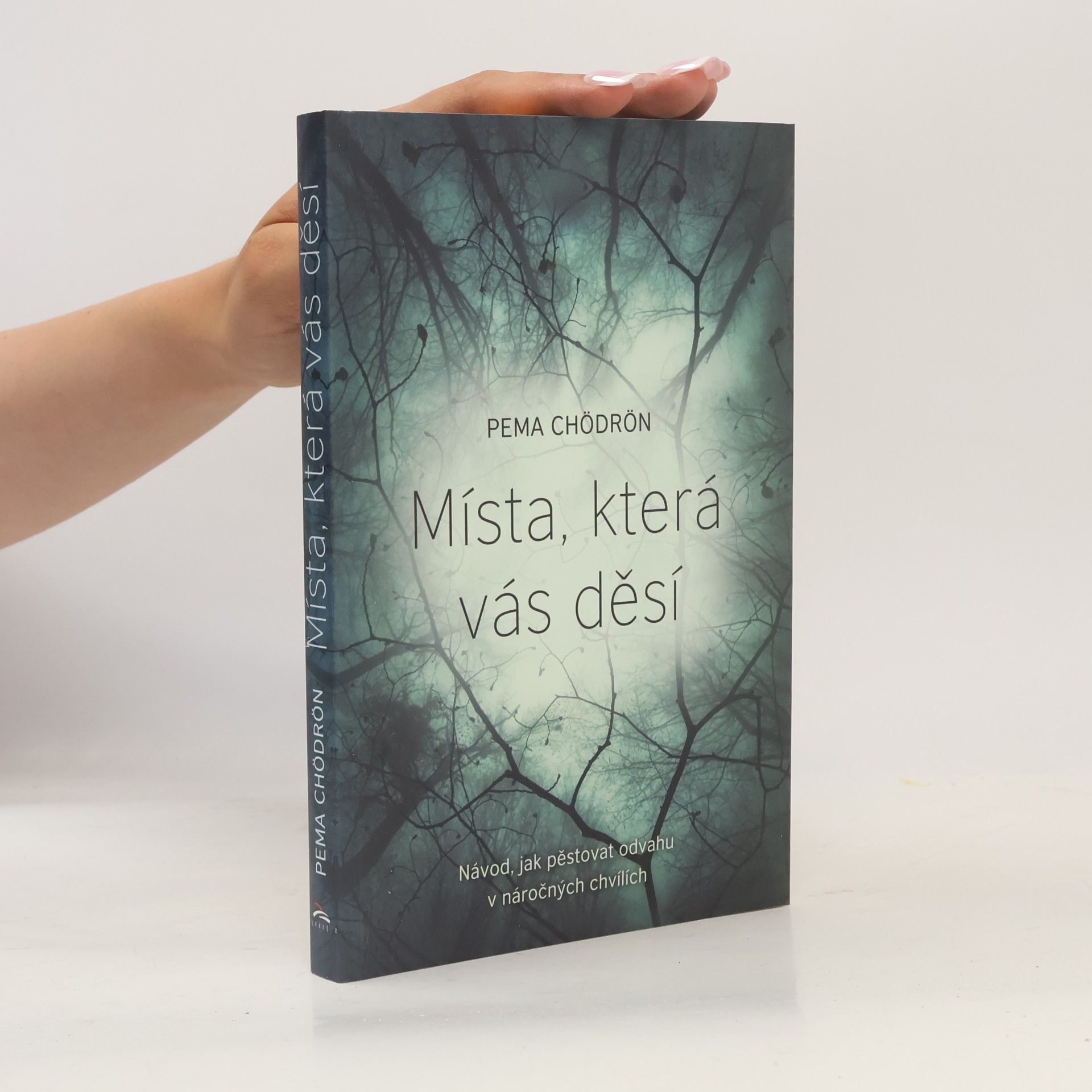 Pema Čhödrön Místa, která vás děsí