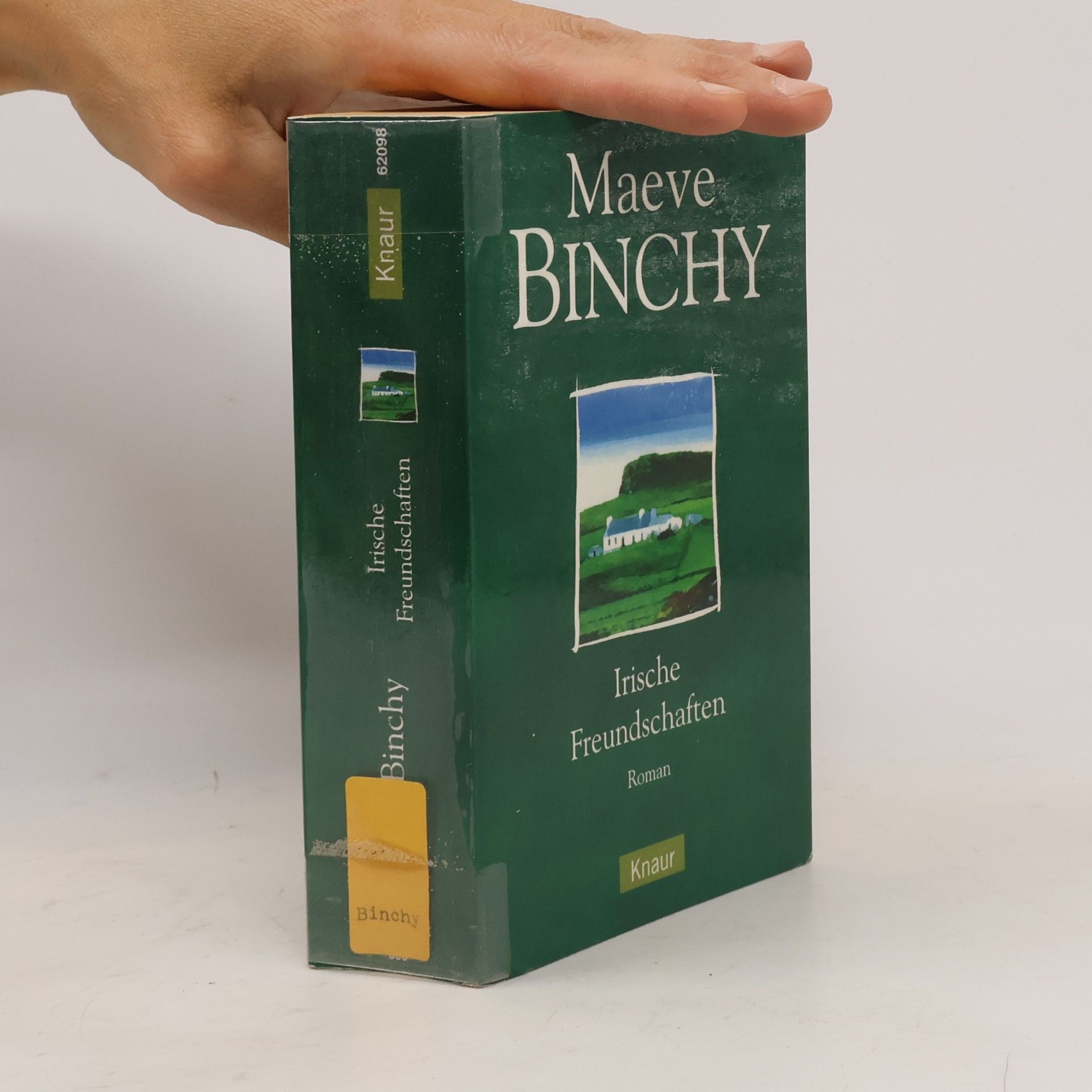 Maeve Binchy Irische Freundschaften