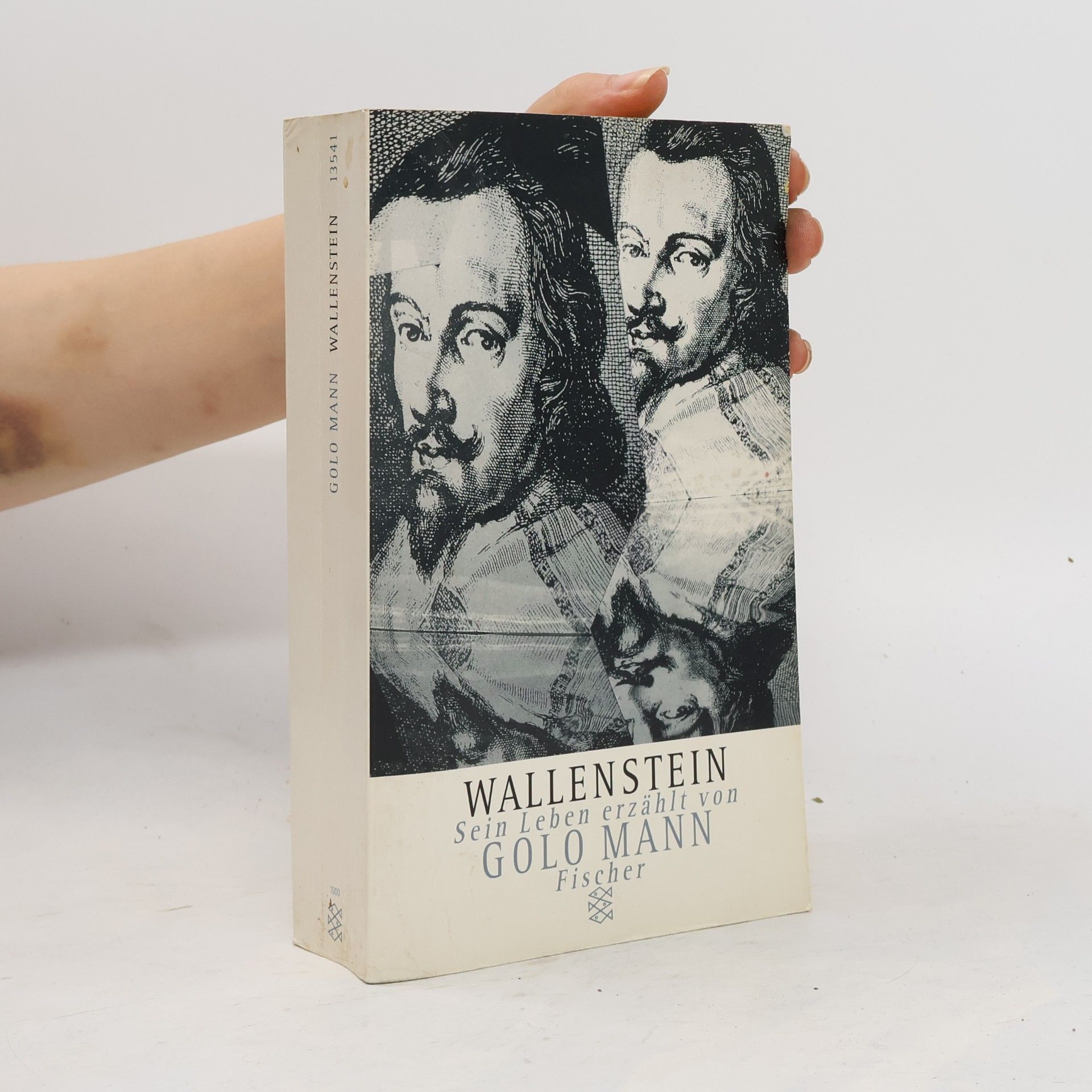 Golo Mann Wallenstein