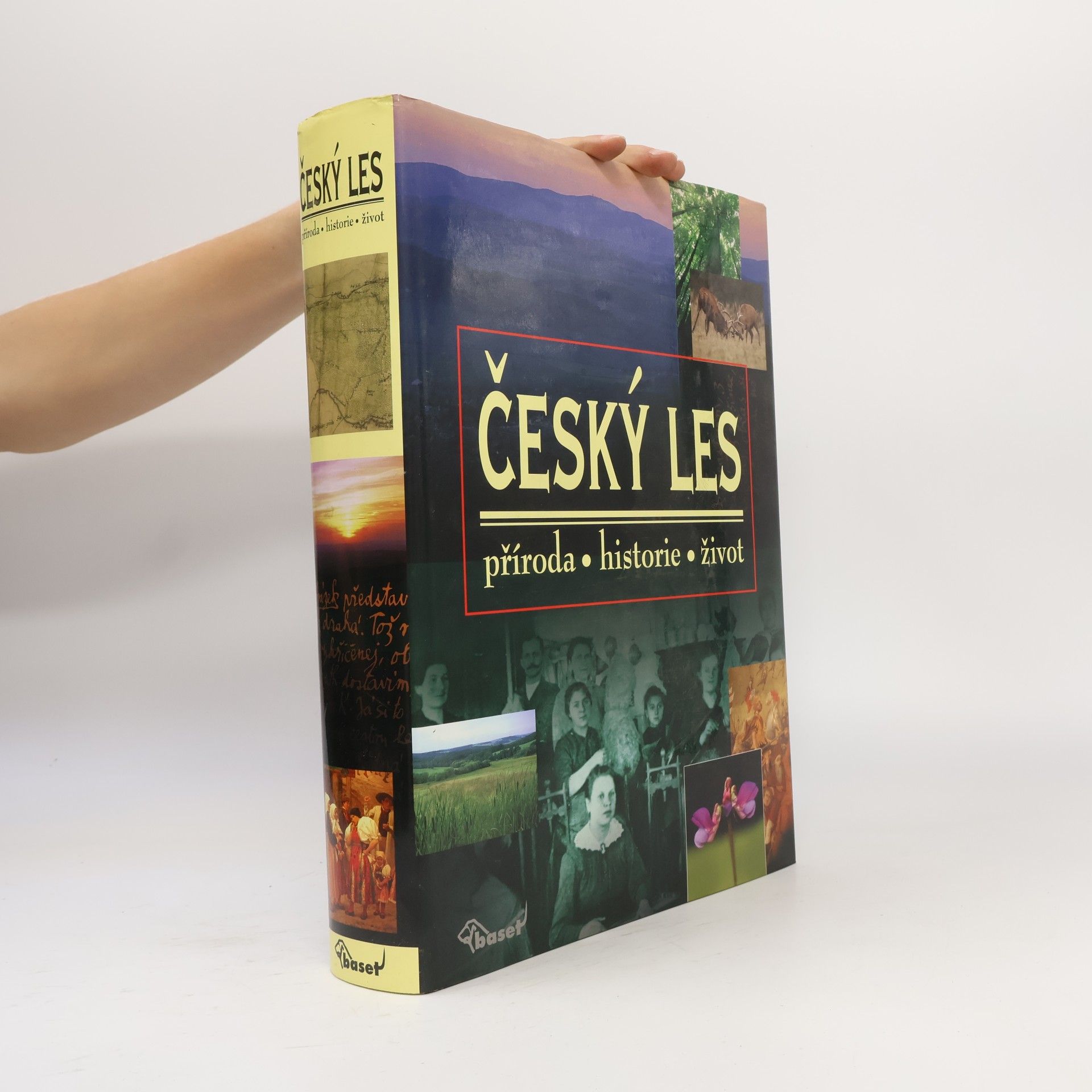 Vladislav Dudák Český les