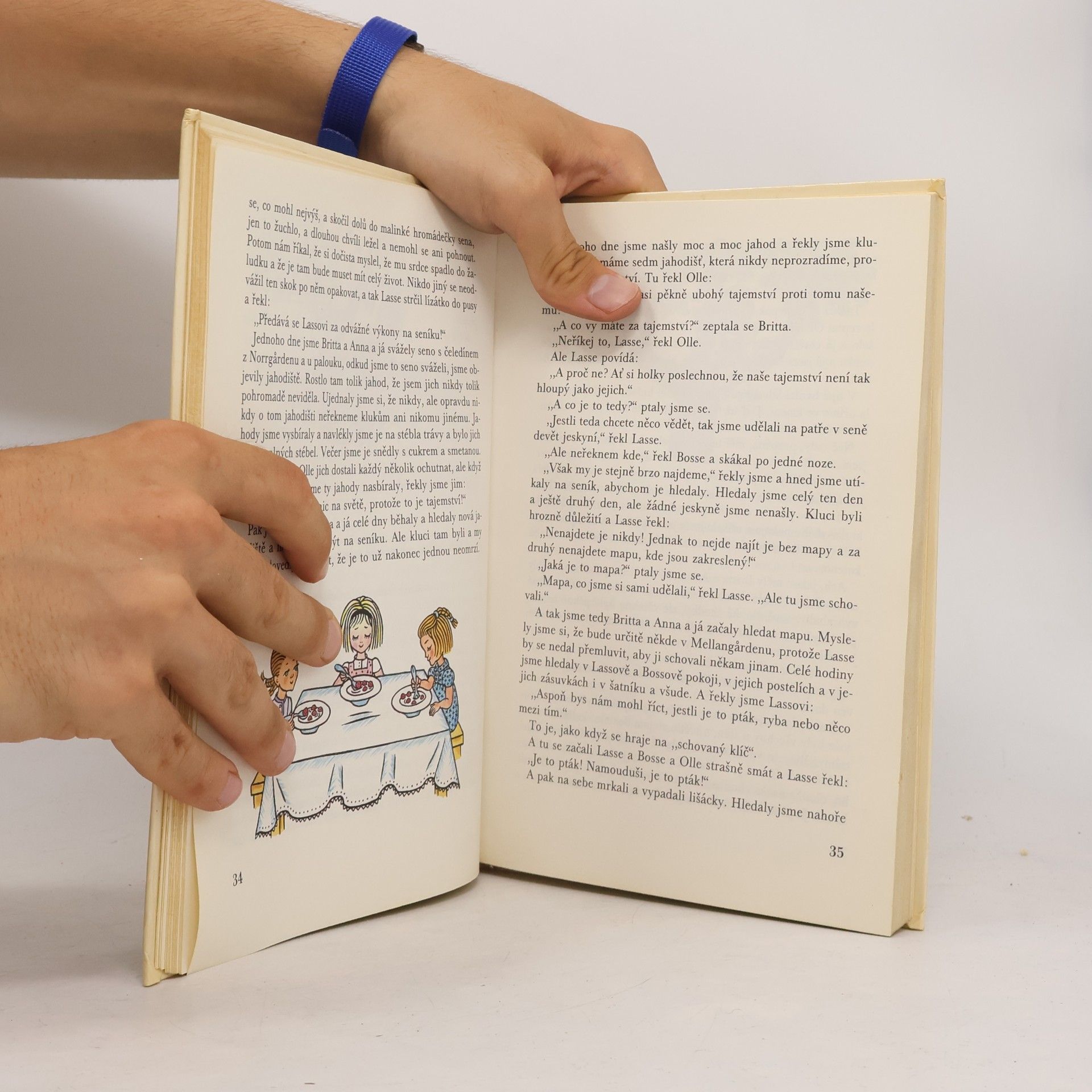 Astrid Lindgren Děti z Bullerbynu