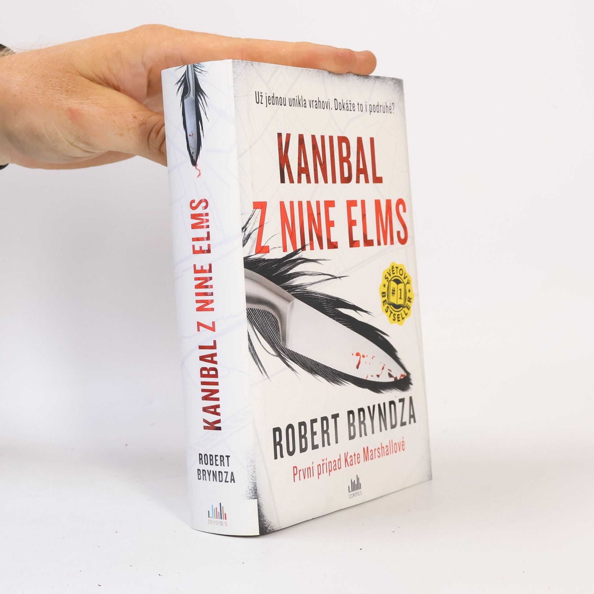 Robert Bryndza Kanibal z Nine Elms