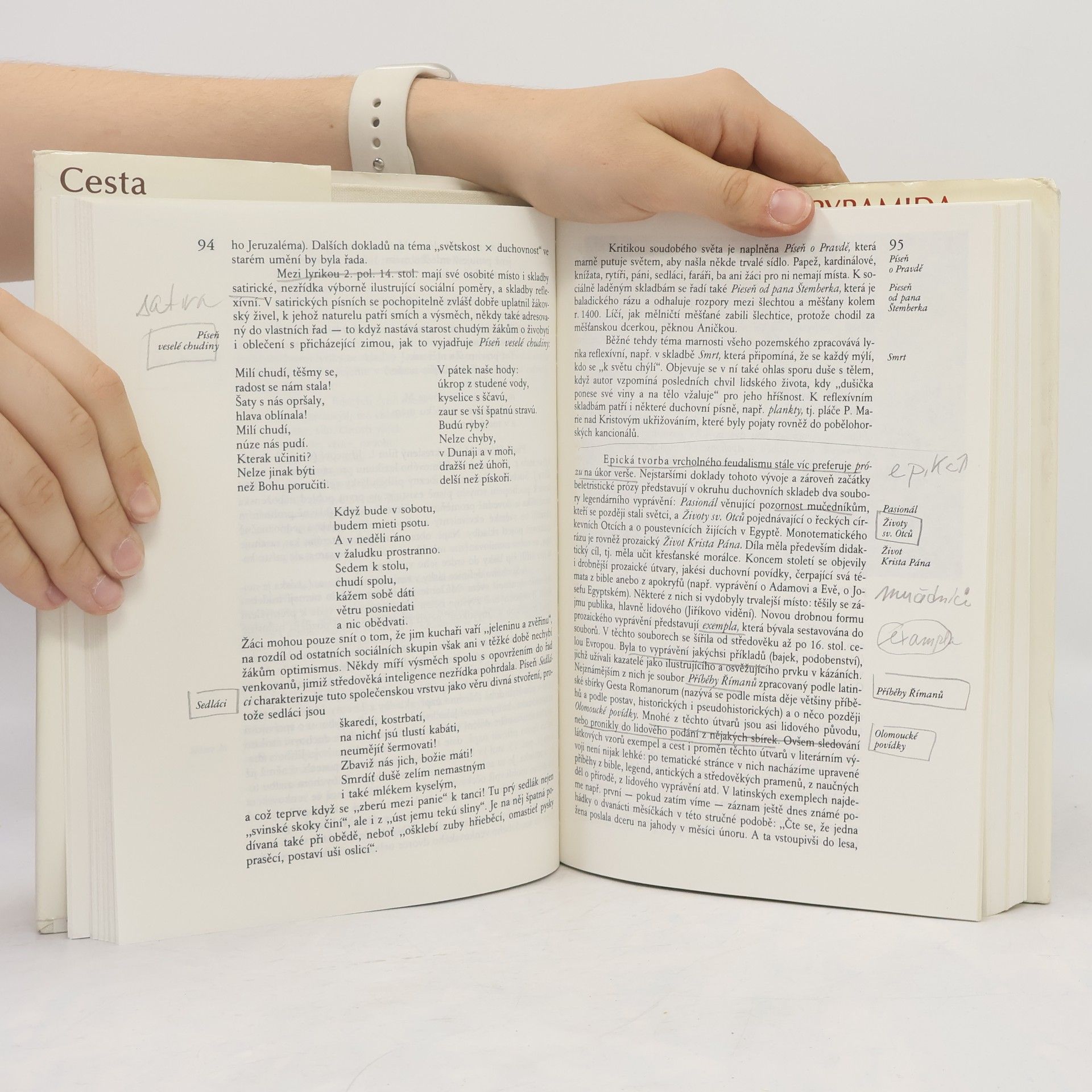 Zdeňka Tichá Cesta starší české literatury