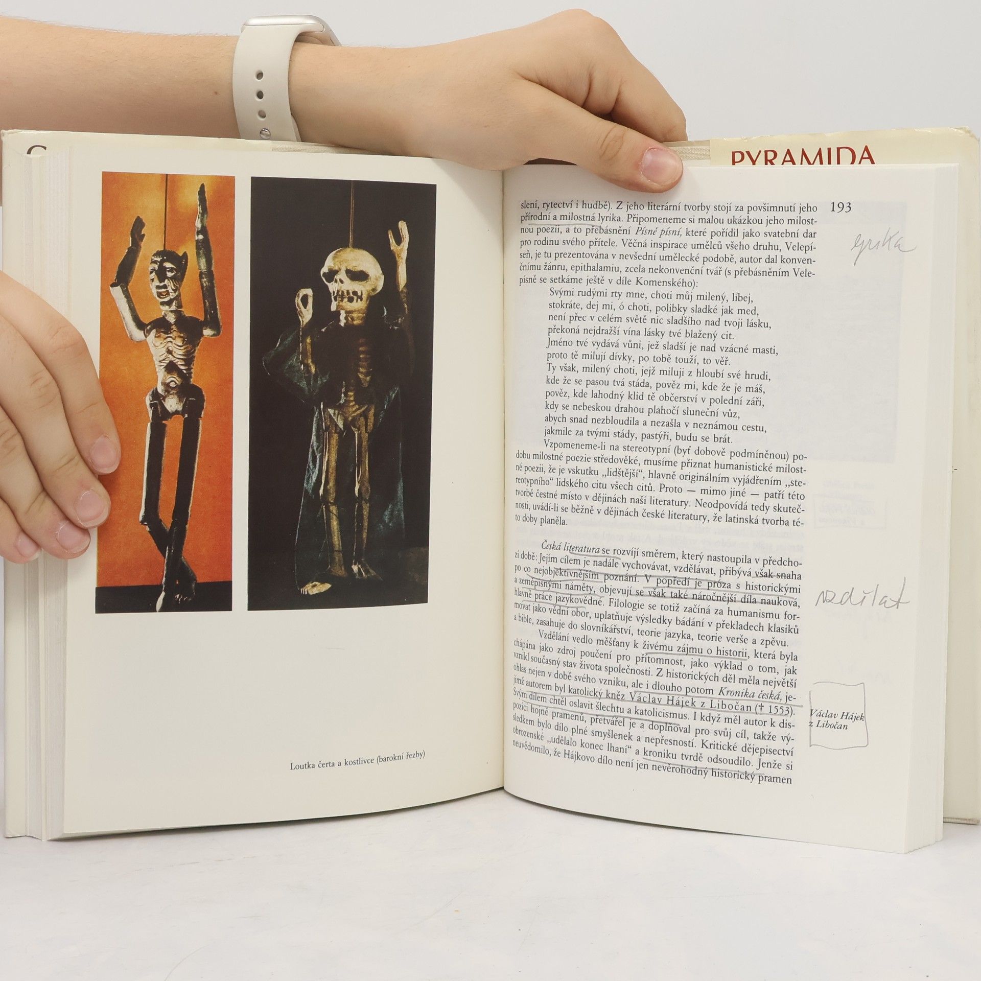 Zdeňka Tichá Cesta starší české literatury