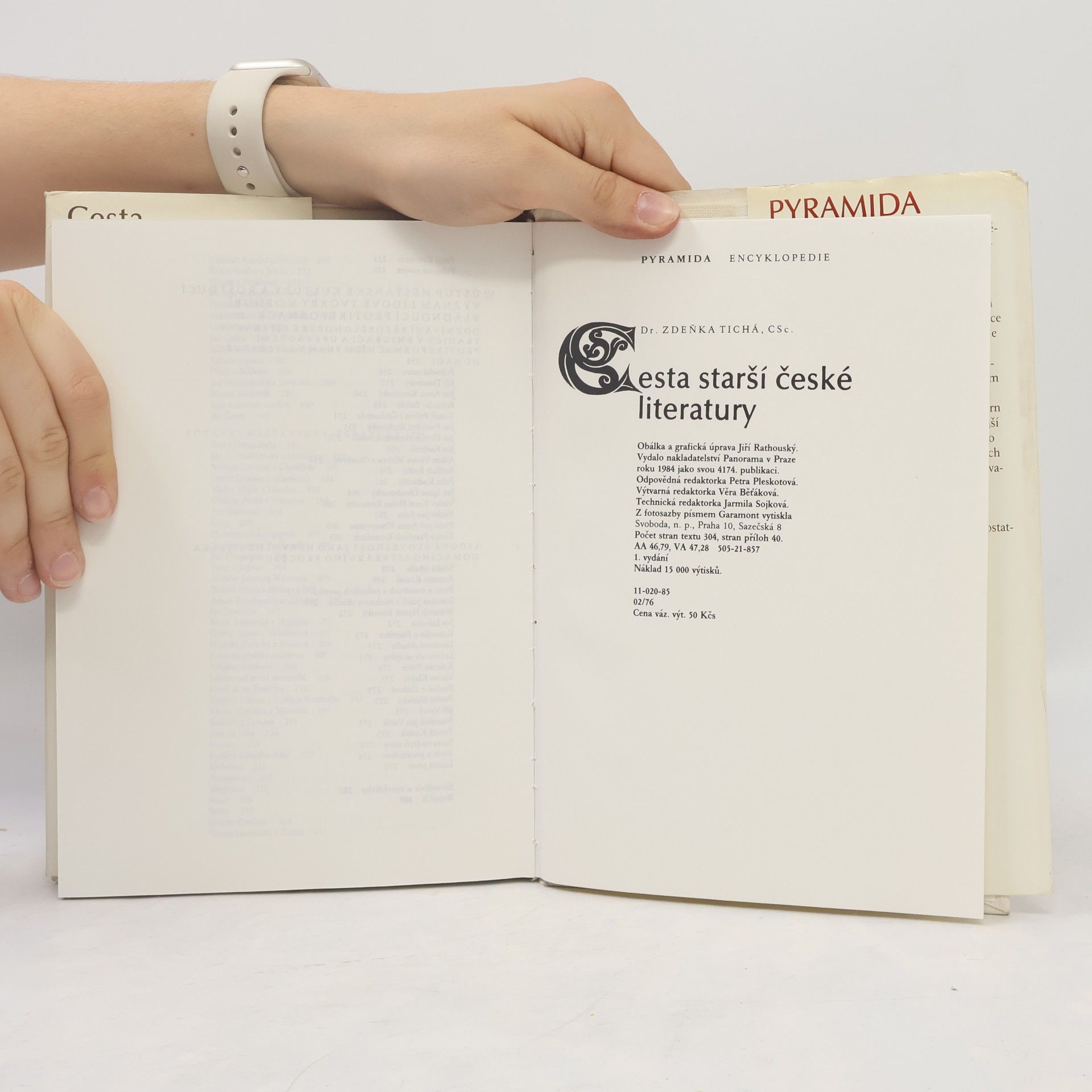 Zdeňka Tichá Cesta starší české literatury