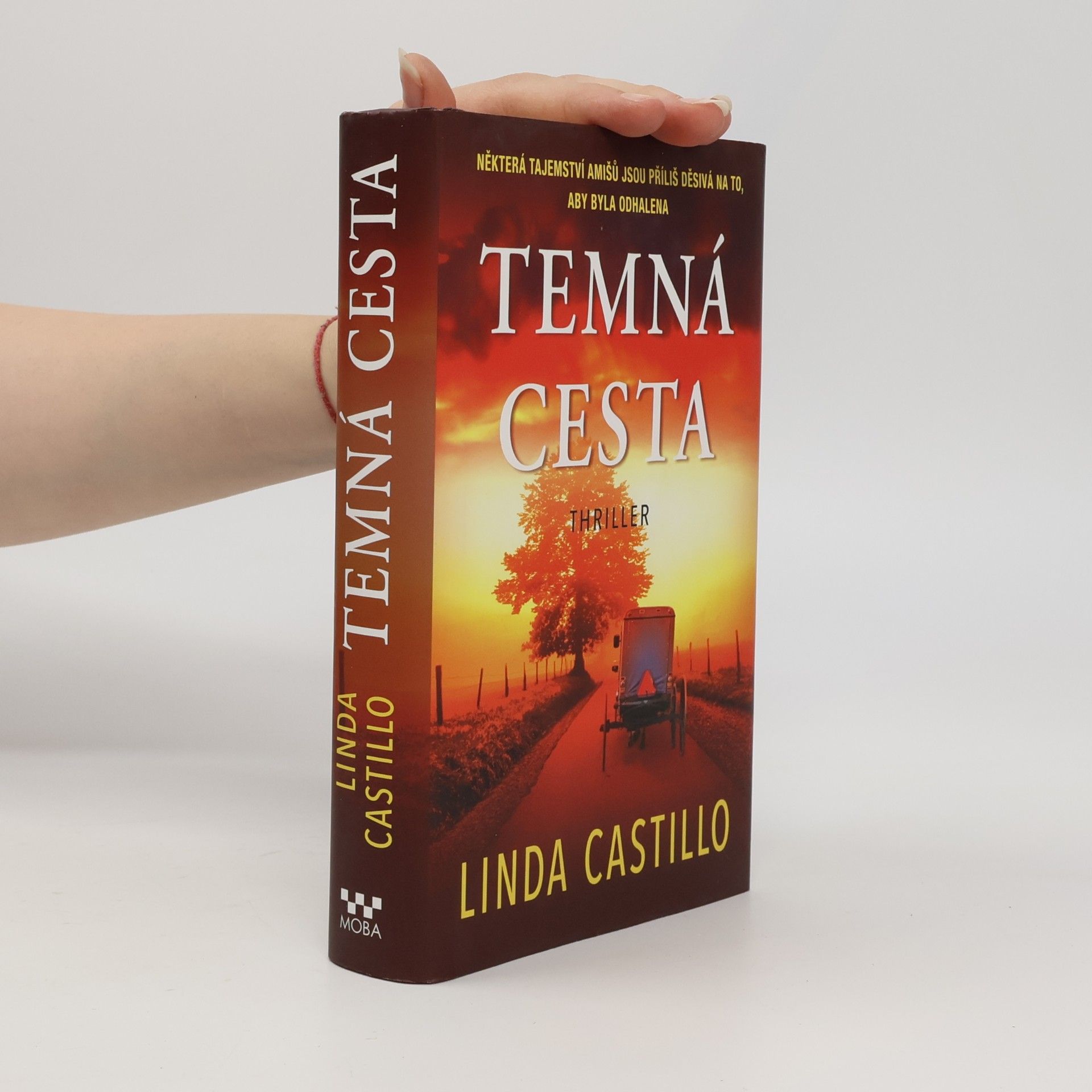 Linda Castillo Temná cesta