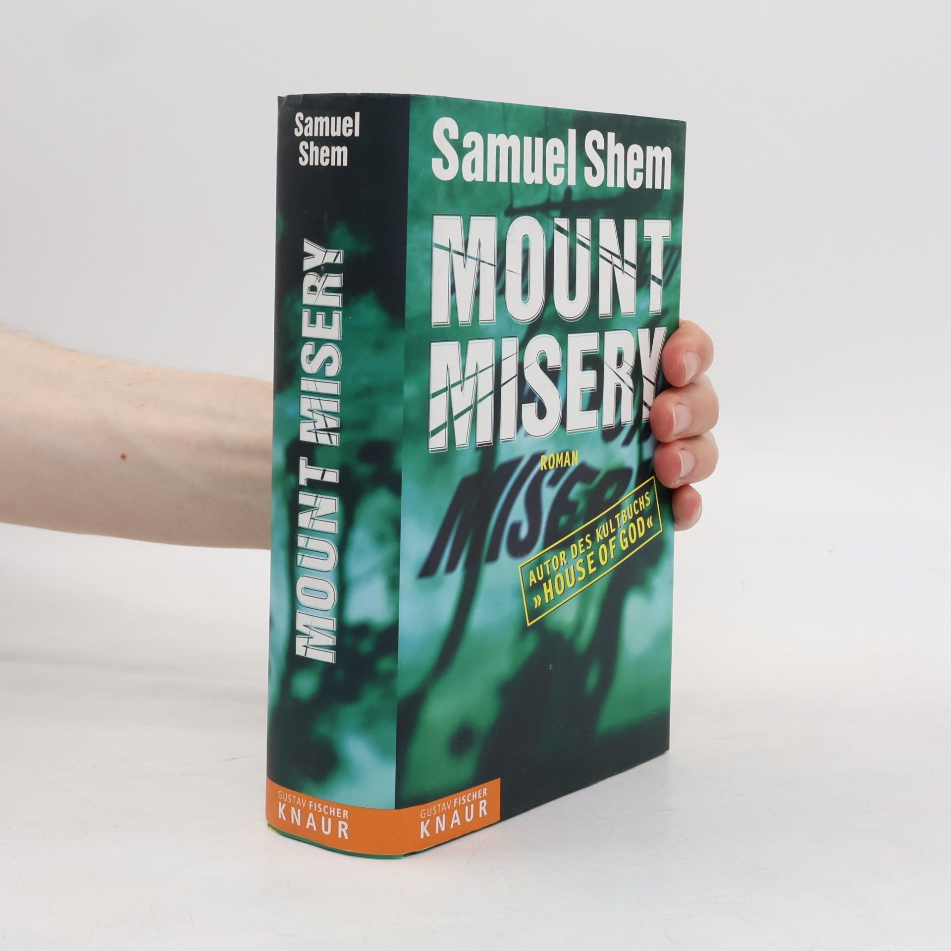 Samuel Shem Mount Misery