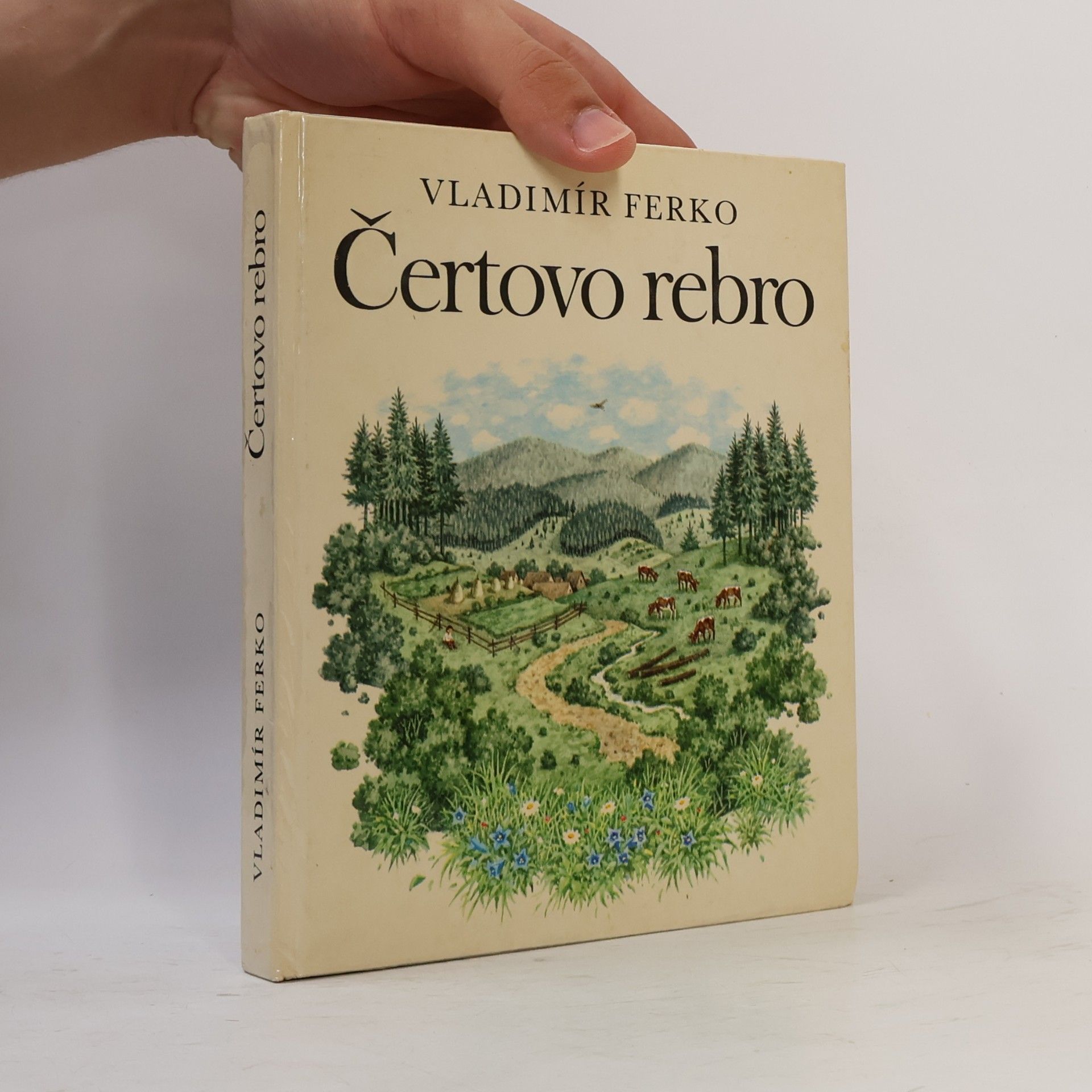 Vladimír Ferko Čertovo rebro