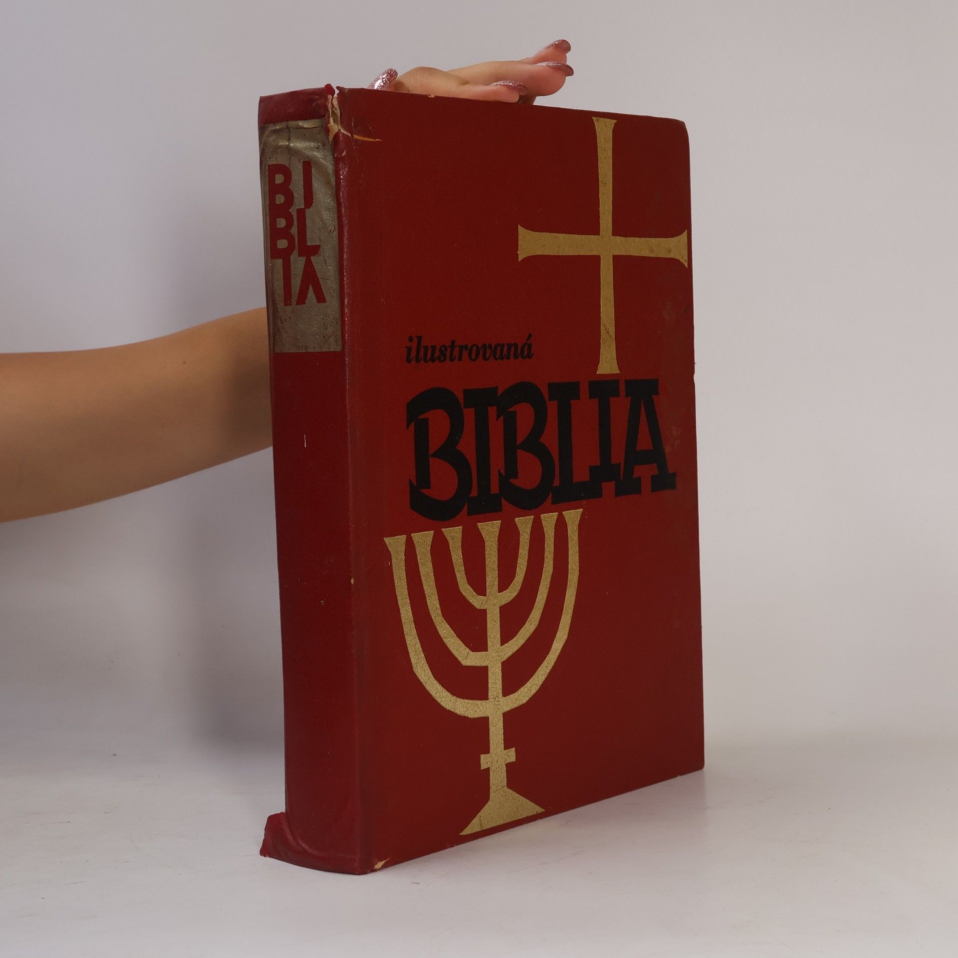 Various authors Ilustrovaná Biblia