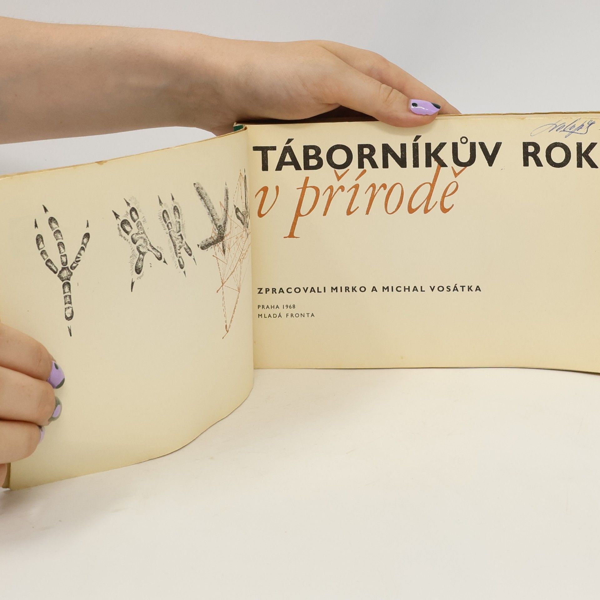 Mirko Vosátka Táborníkův rok v přírodě