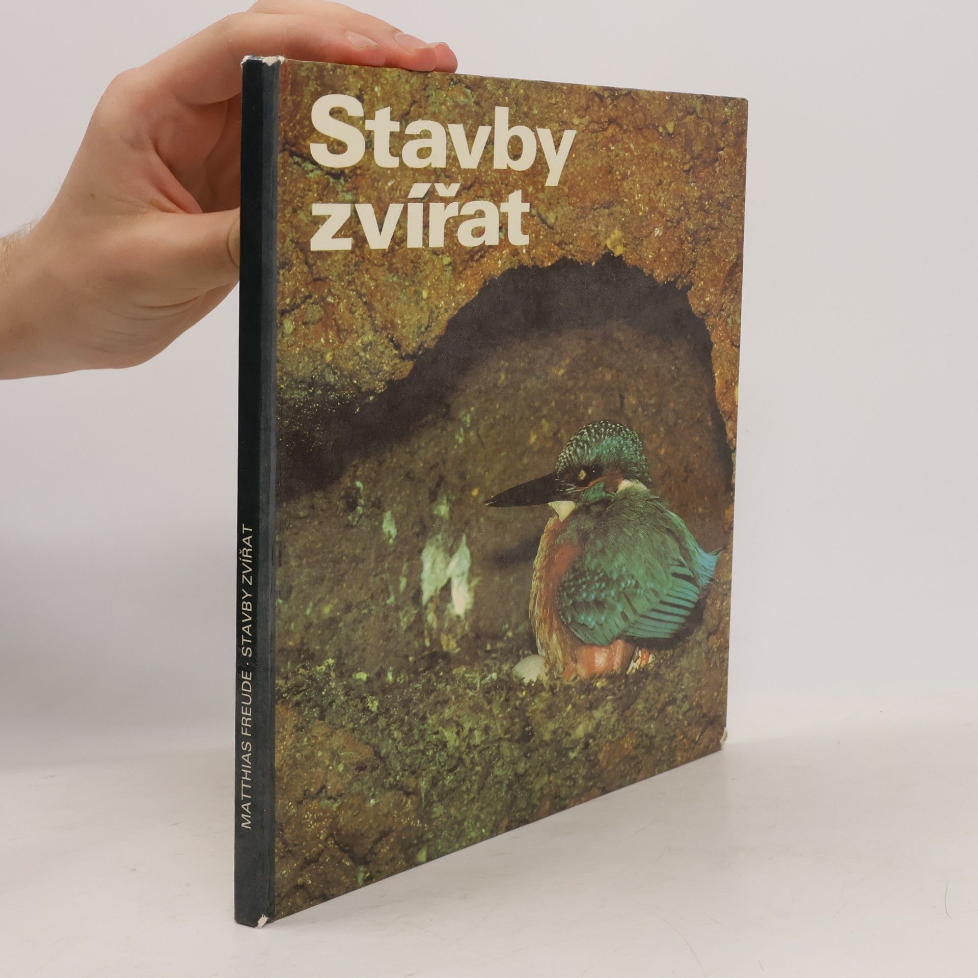 Jörg Parschau Stavby zvířat
