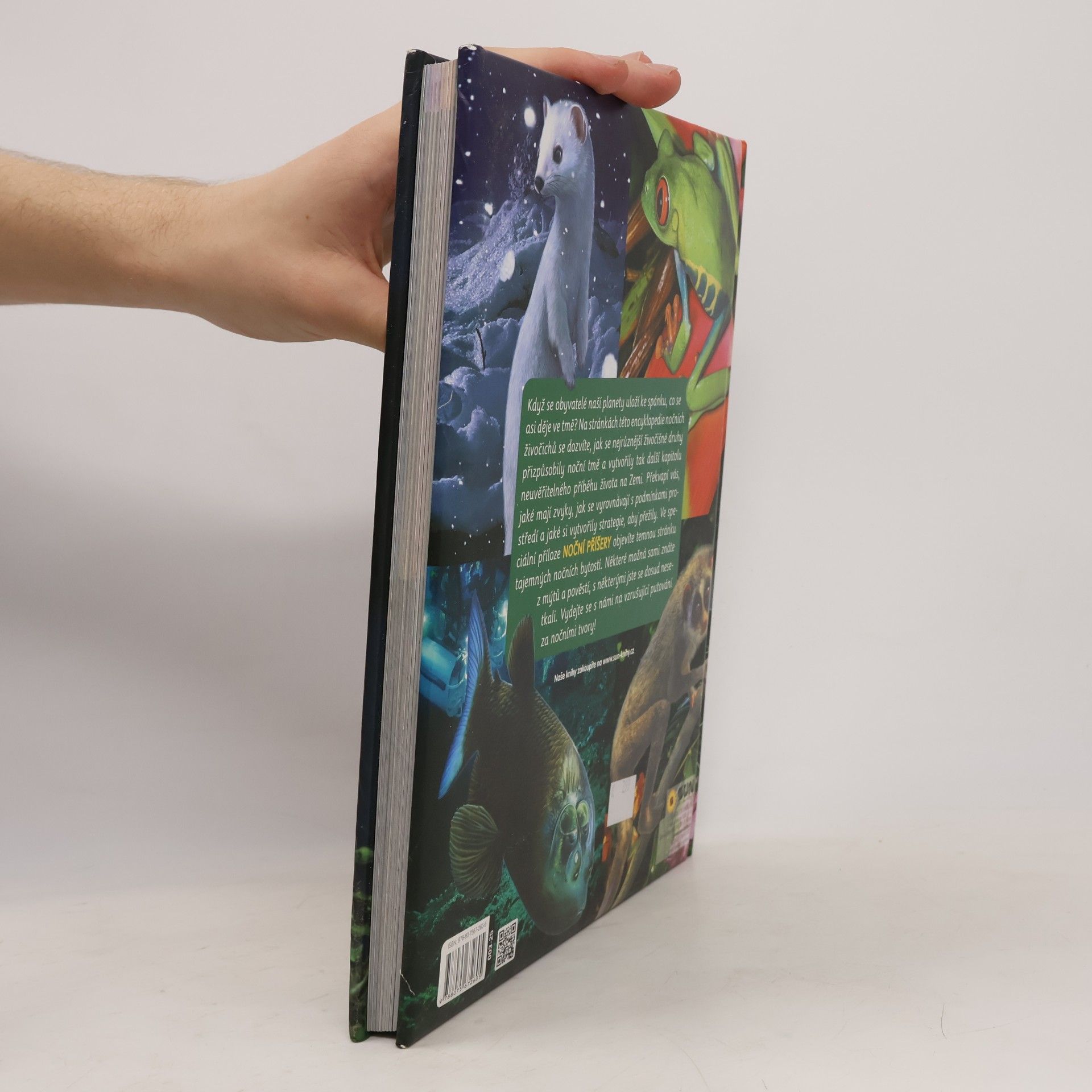 Carmen Rodríguez Zvířata: Atlas nočních živočichů