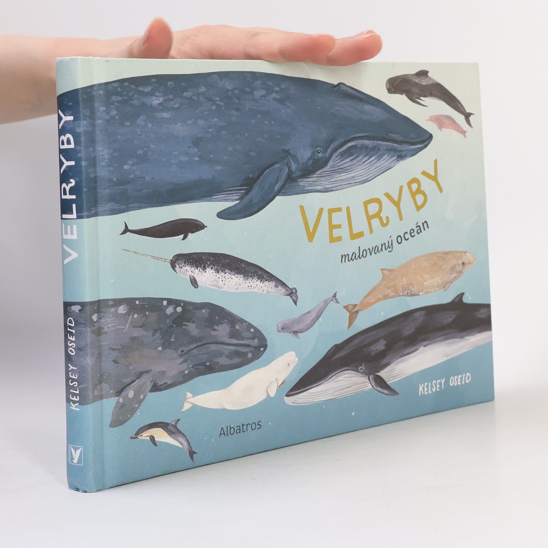 Kelsey Oseid Velryby: Malovaný oceán