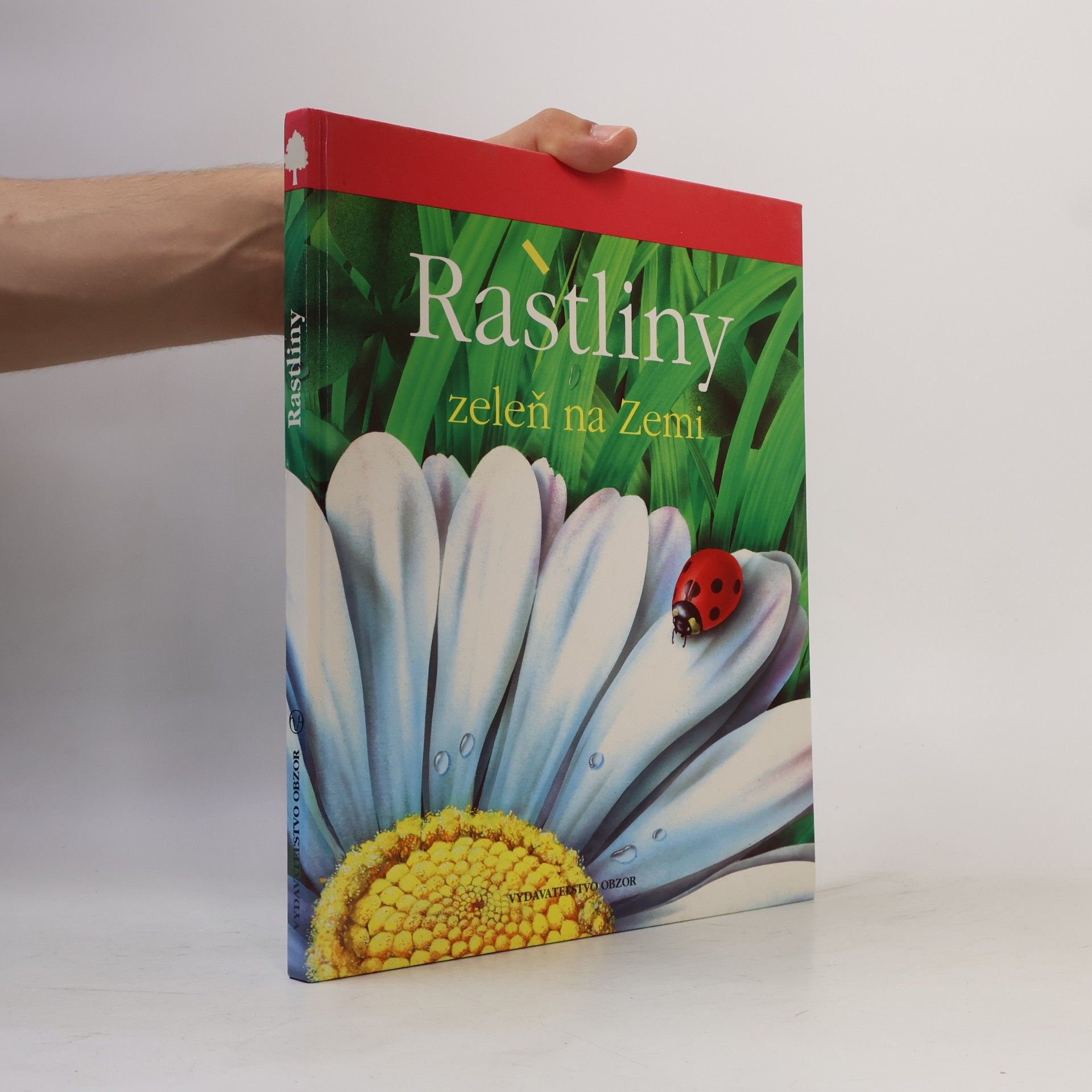 Kolektív autorov Rastlinky zeleň na zemi