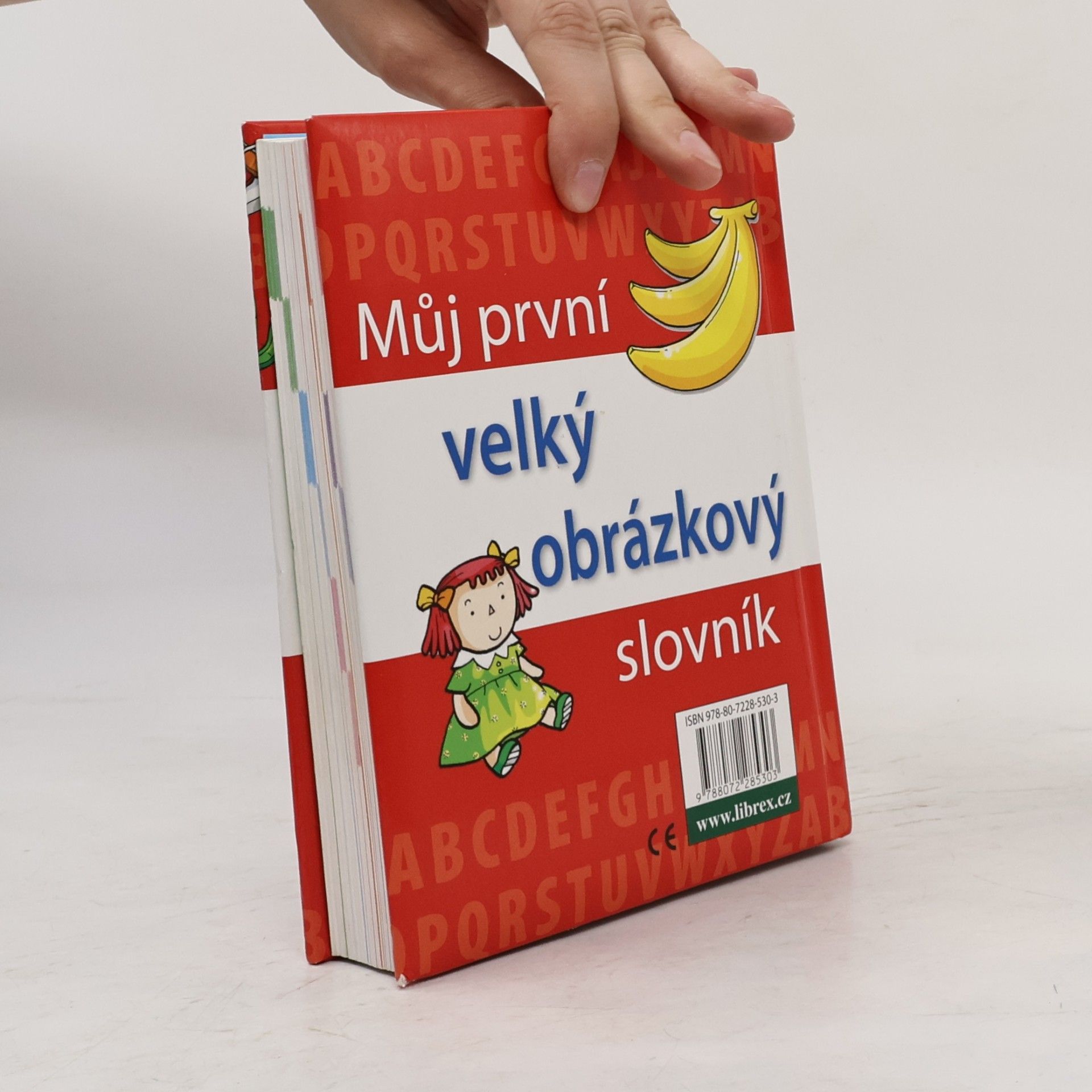 Autorenkollektiv Můj první velký obrázkový slovník : [anglické výrazy s výslovností]