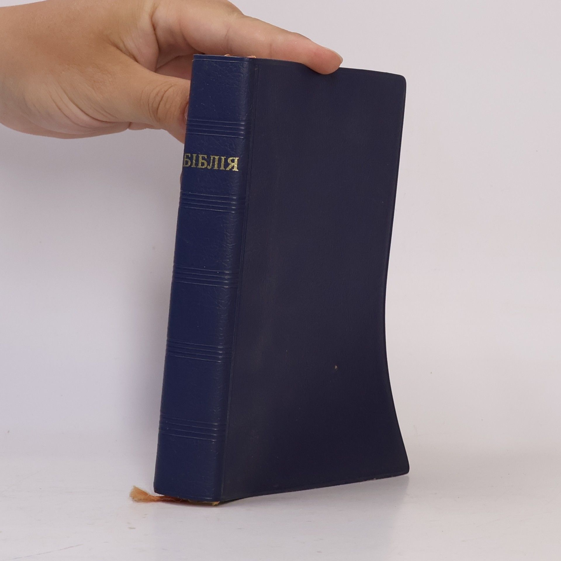Autorenkollektiv Біблія або Книги Святого Письма Старого і Нового Заповіту