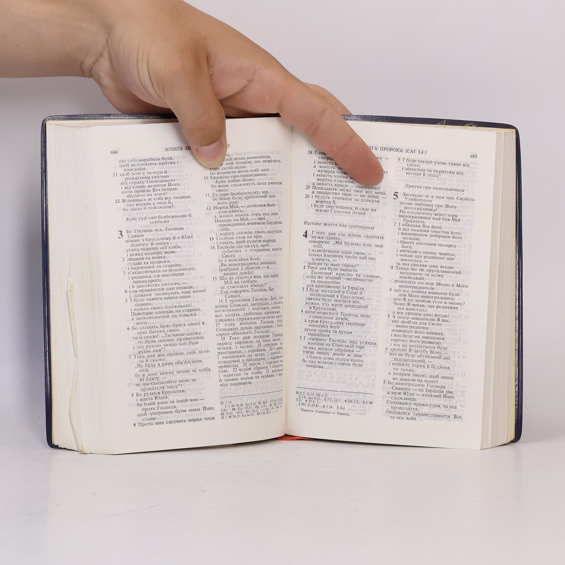 Autorenkollektiv Біблія або Книги Святого Письма Старого і Нового Заповіту