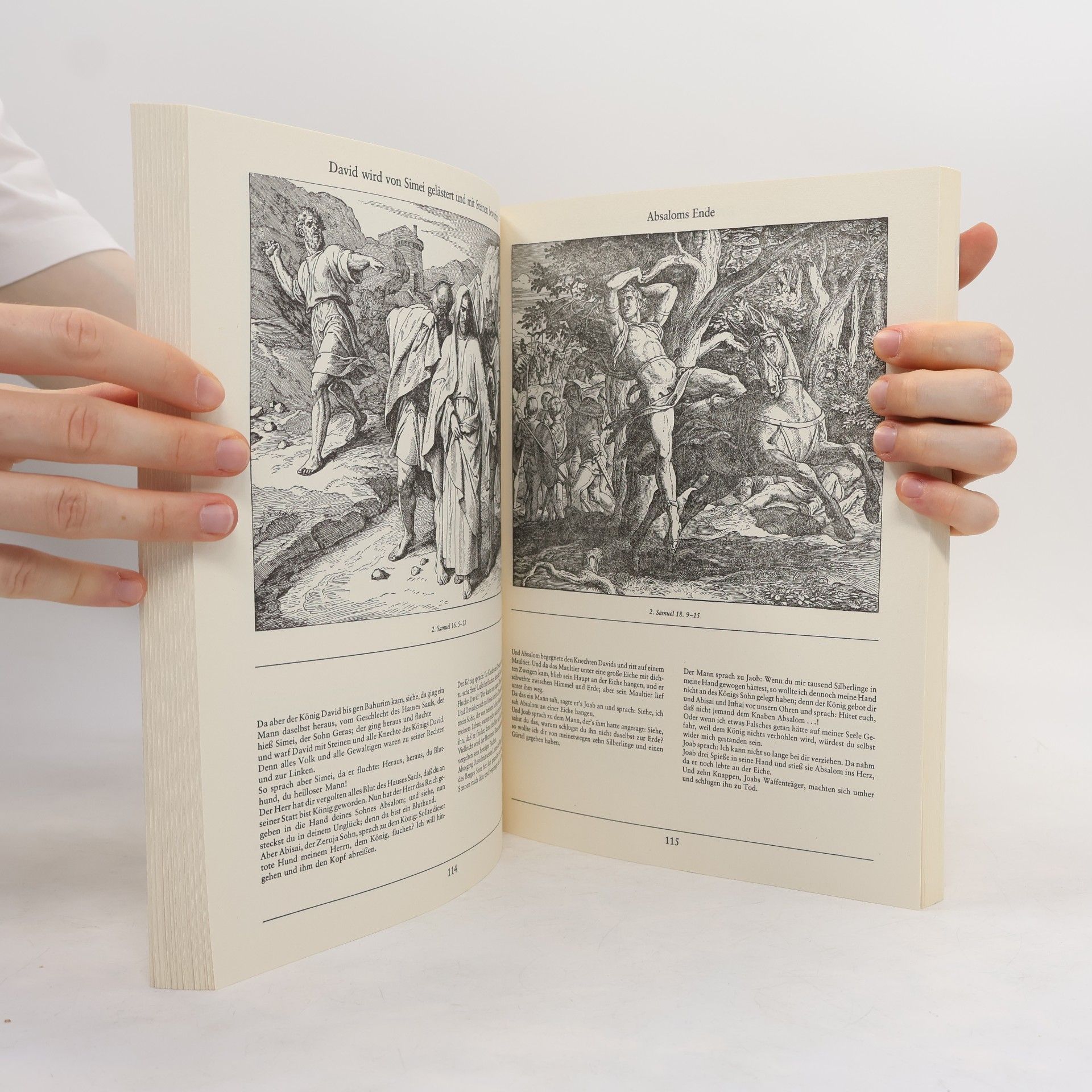 Julius Schnorr von Carolsfeld Die Bibel in Bildern