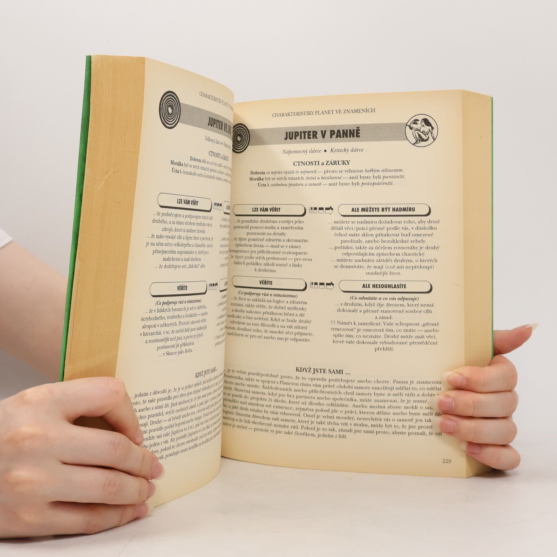 Lyn Birkbeck Astrologie vztahů. Praktická příručka