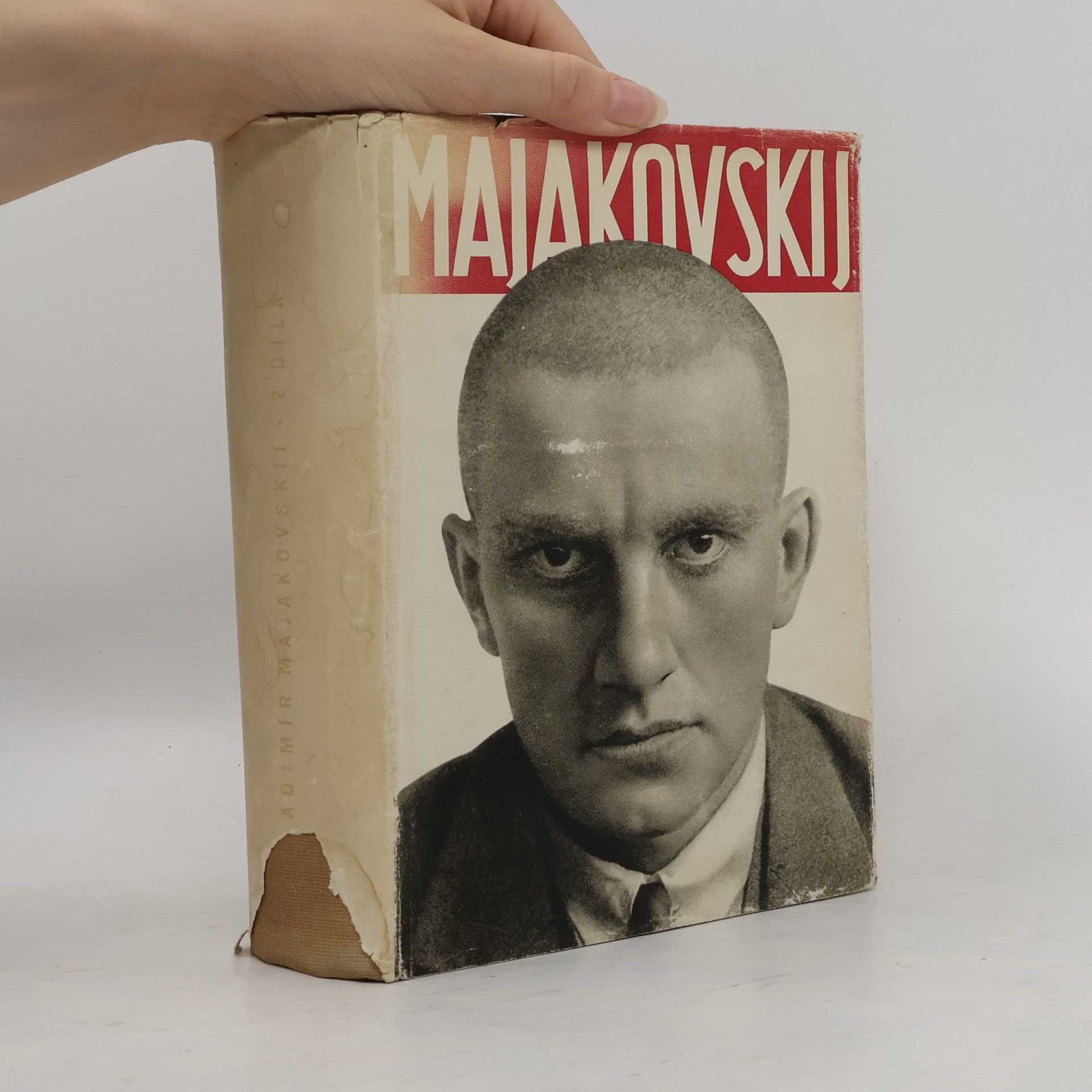 Majakovskij Vladimír Z díla