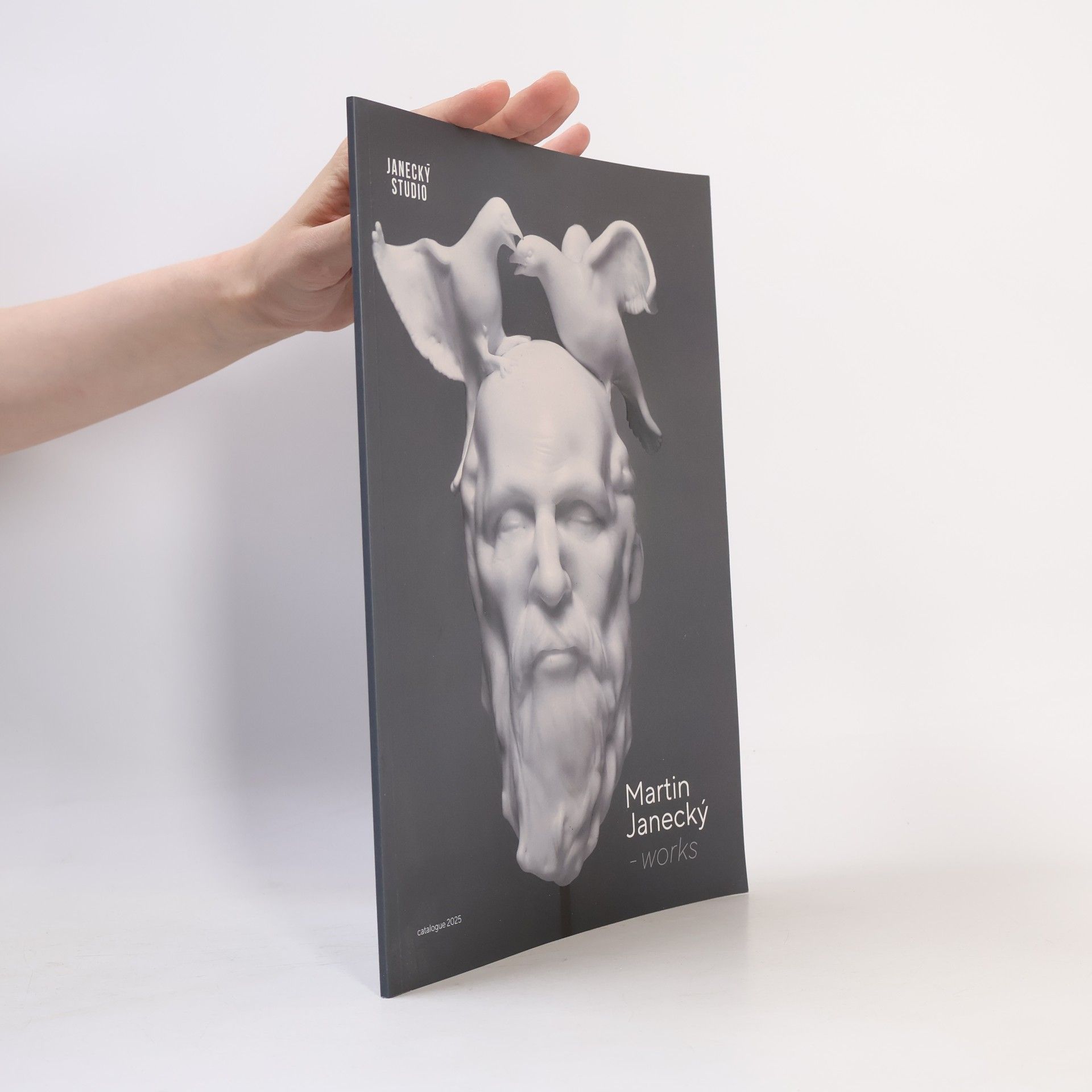 Martin Janecký - Works