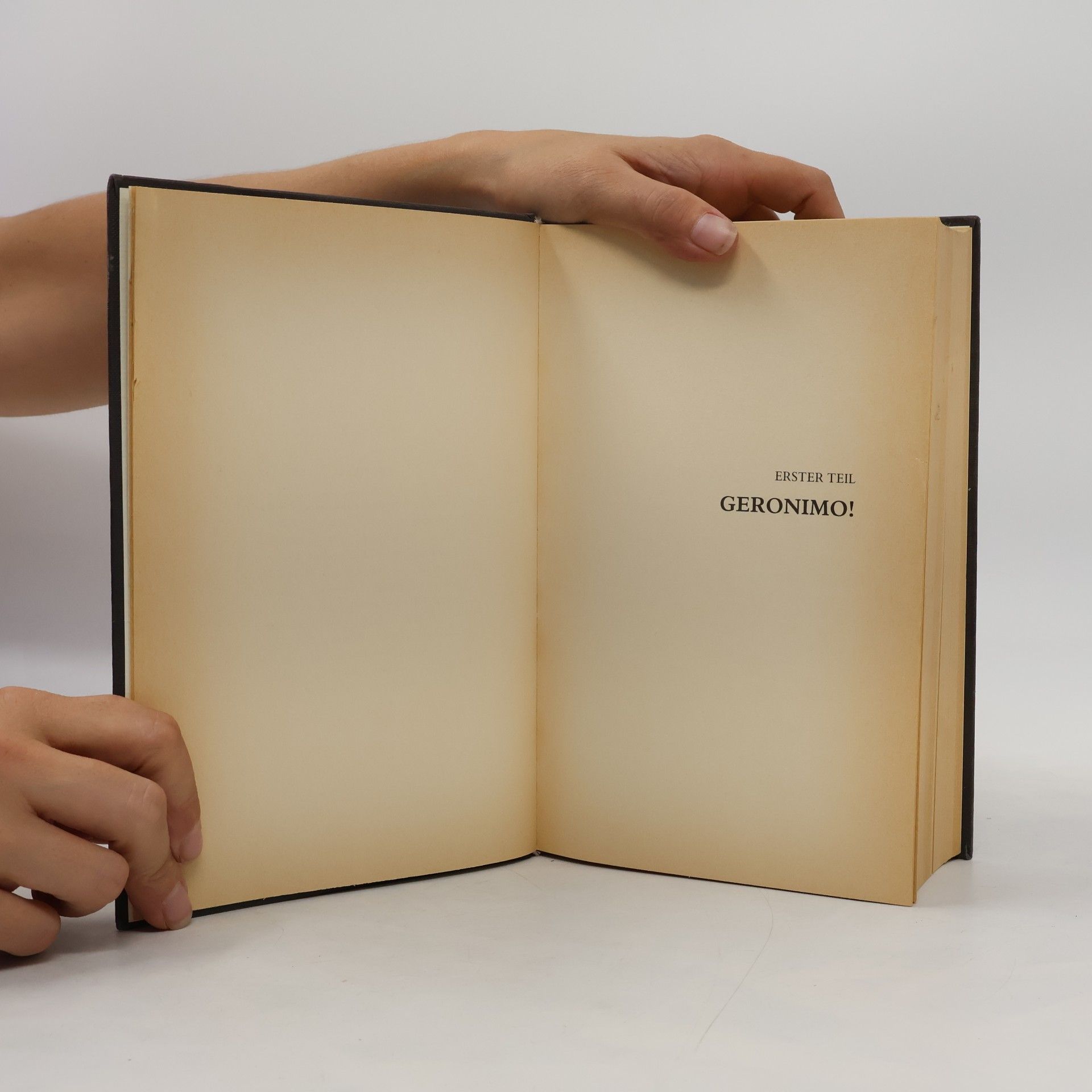 David Grossman Der gelbe Wind