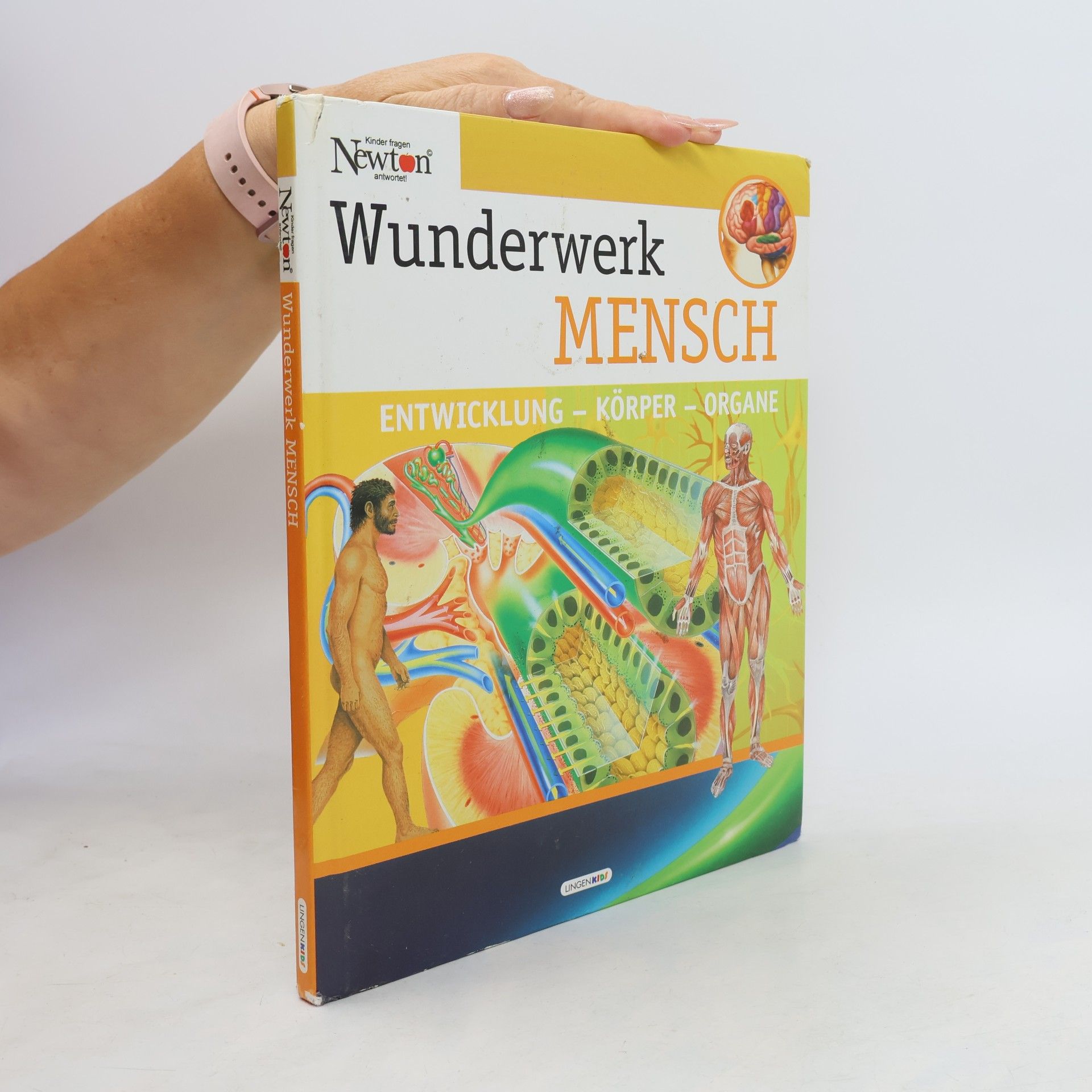 Collectif d'auteurs Wunderwerk Mensch. Entwicklung. Körper. Organe