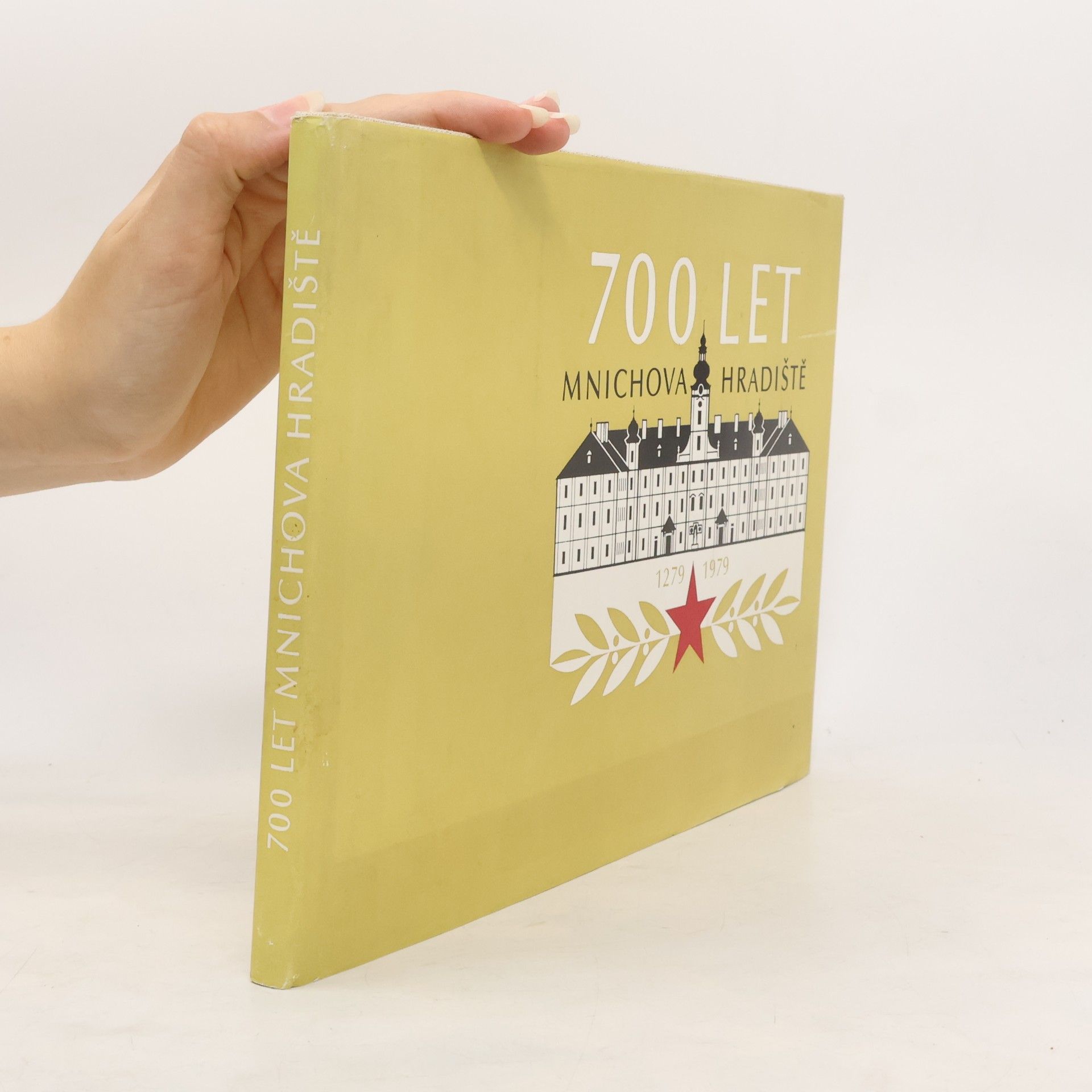 Kolektiv autorů 700 let Mnichova Hradiště